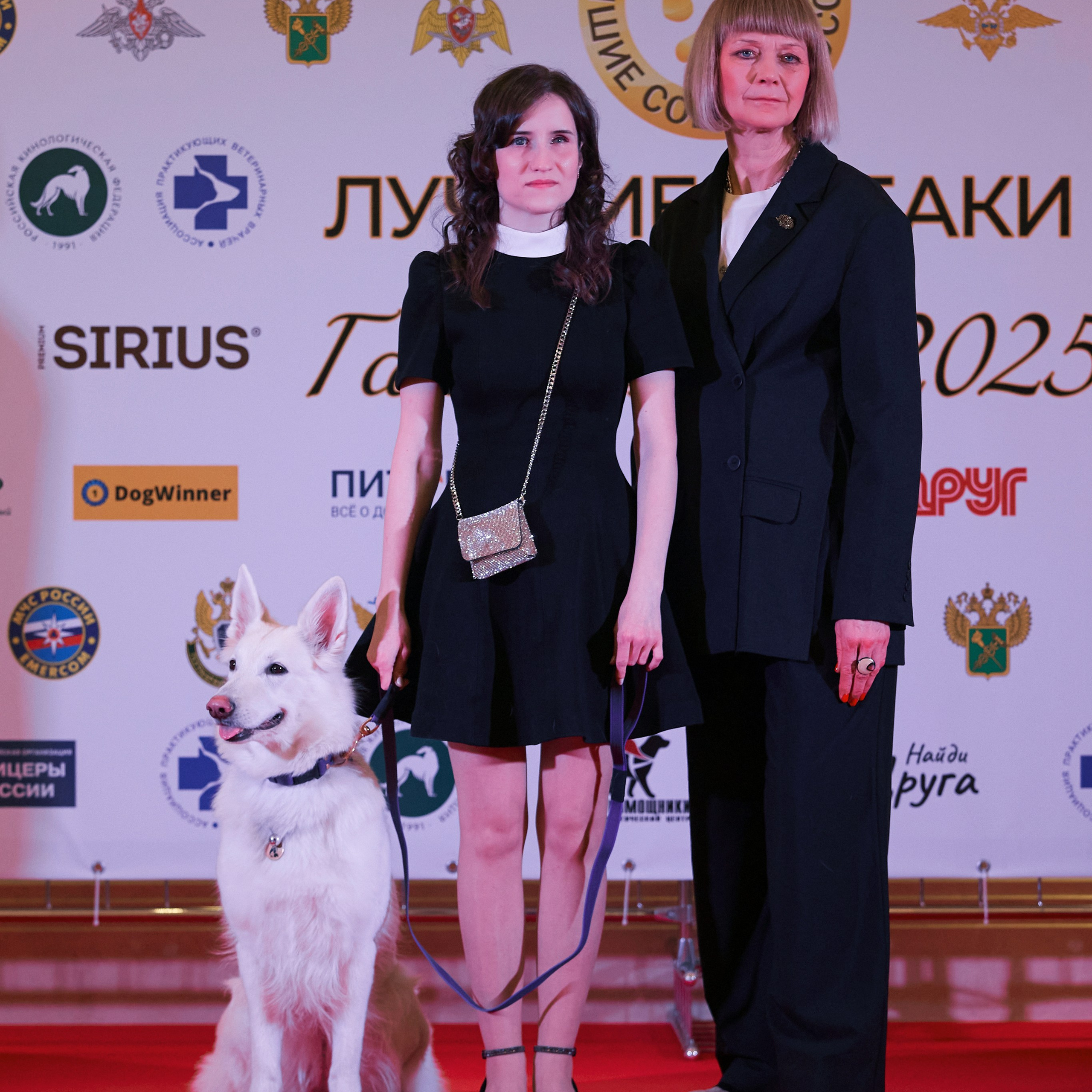 Репортаж с церемонии «BEST RUSSIAN DOG 2024». ФОТОГРАФ-АНИМАЛИСТ l LANA POLYAKOVA