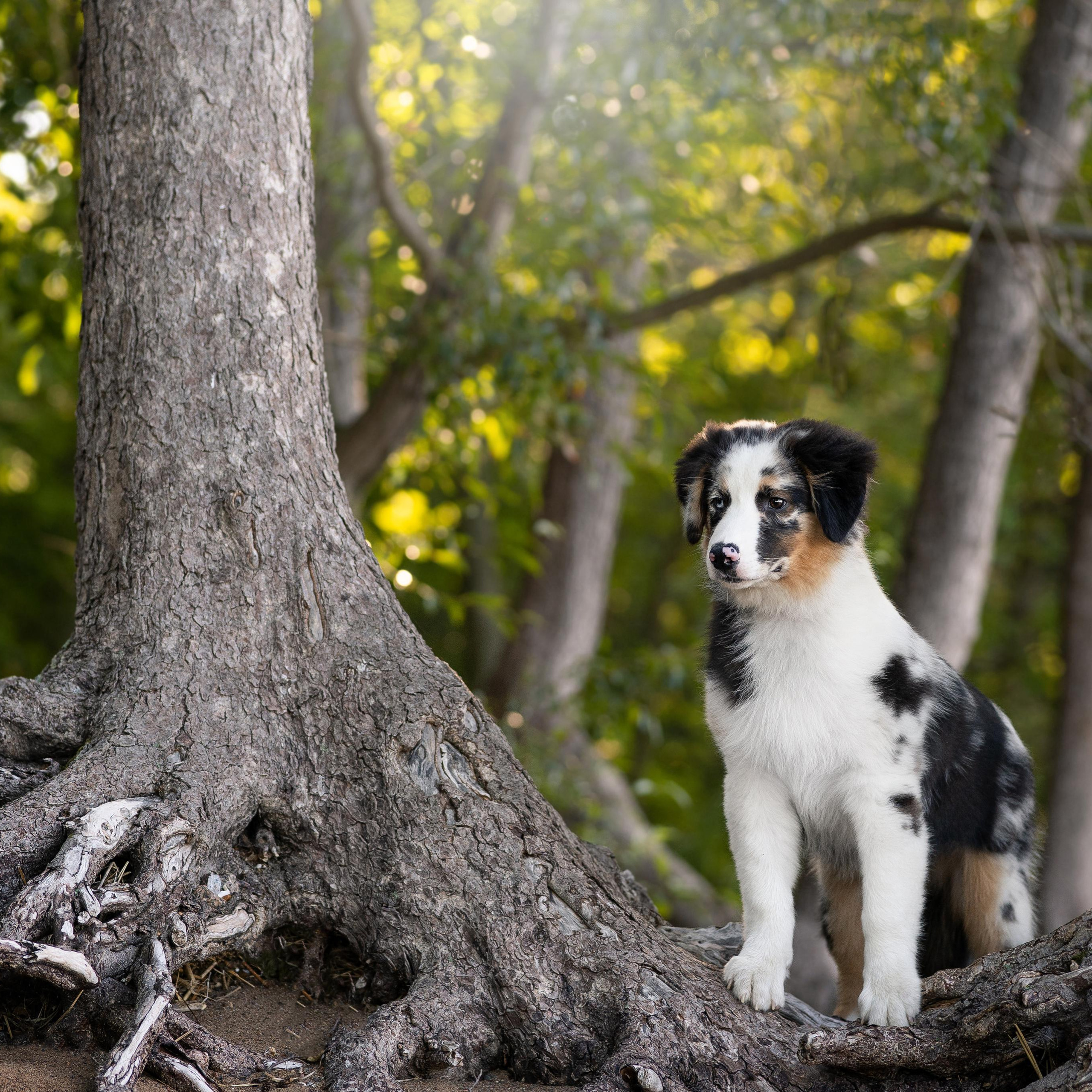 WORK-SHOP 16.07.23 завершён. ФОТОГРАФ-АНИМАЛИСТ l LANA POLYAKOVA