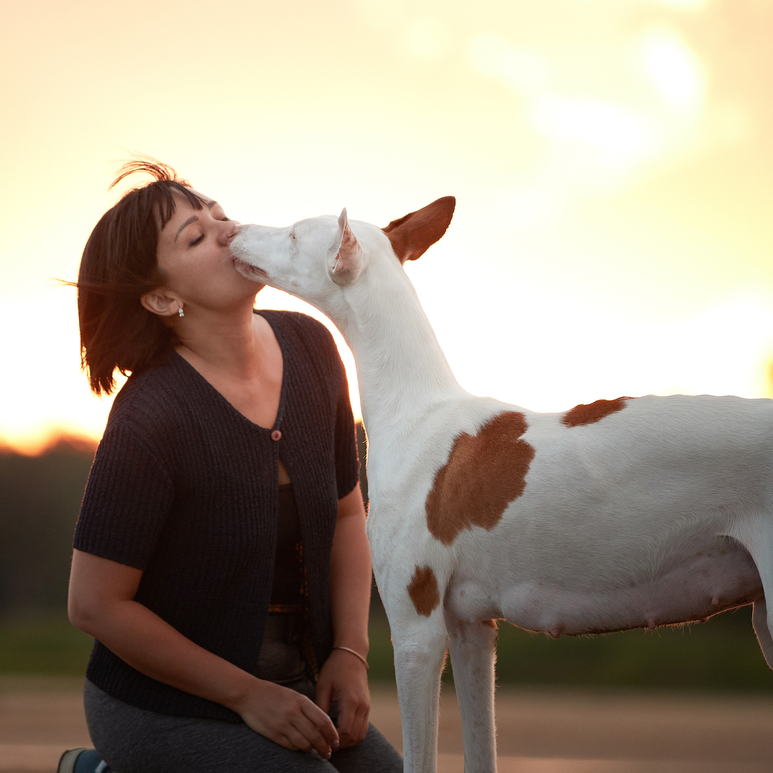 Встречаем рассвет с Байлой. ФОТОГРАФ-АНИМАЛИСТ l LANA POLYAKOVA