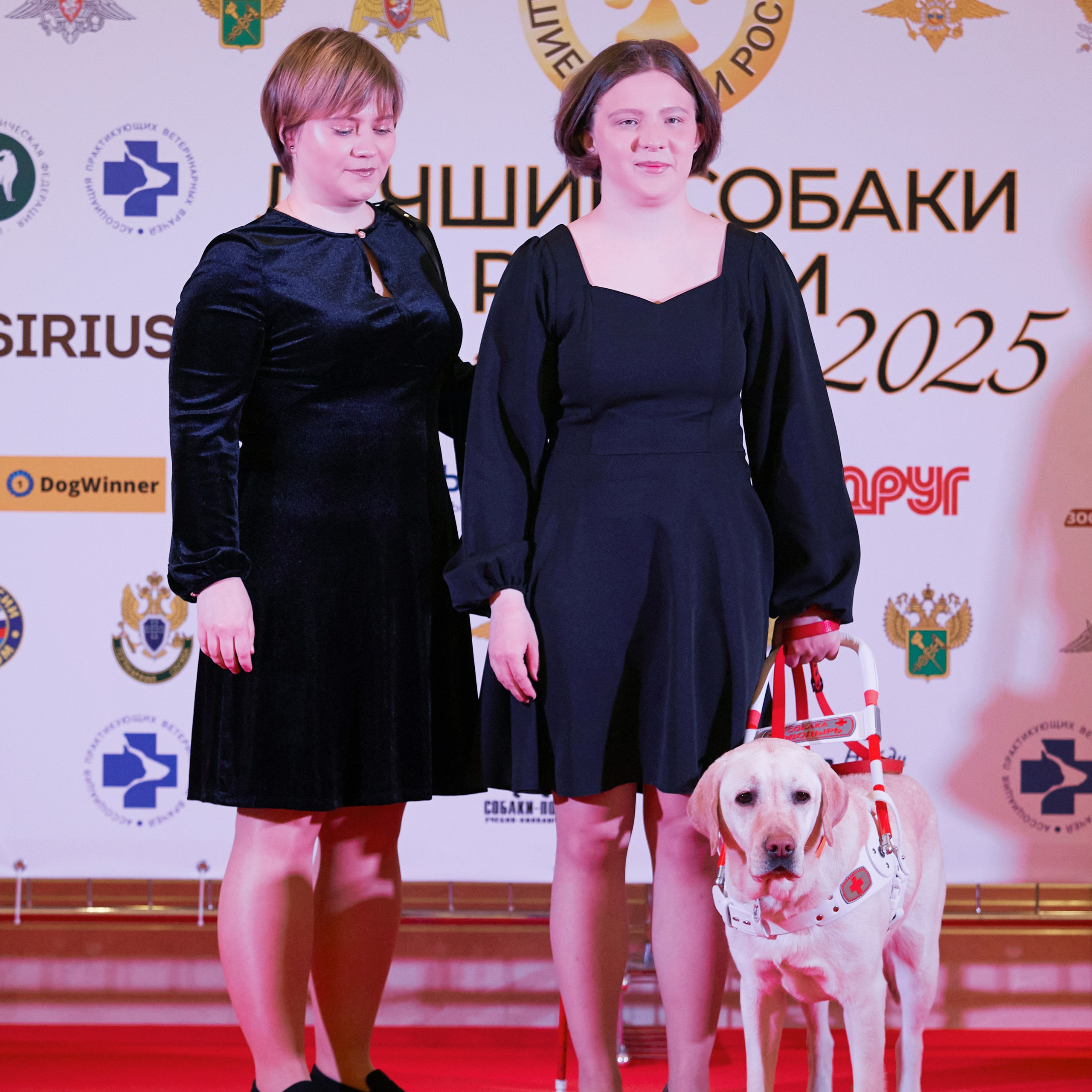 Репортаж с церемонии «BEST RUSSIAN DOG 2024». ФОТОГРАФ-АНИМАЛИСТ l LANA POLYAKOVA