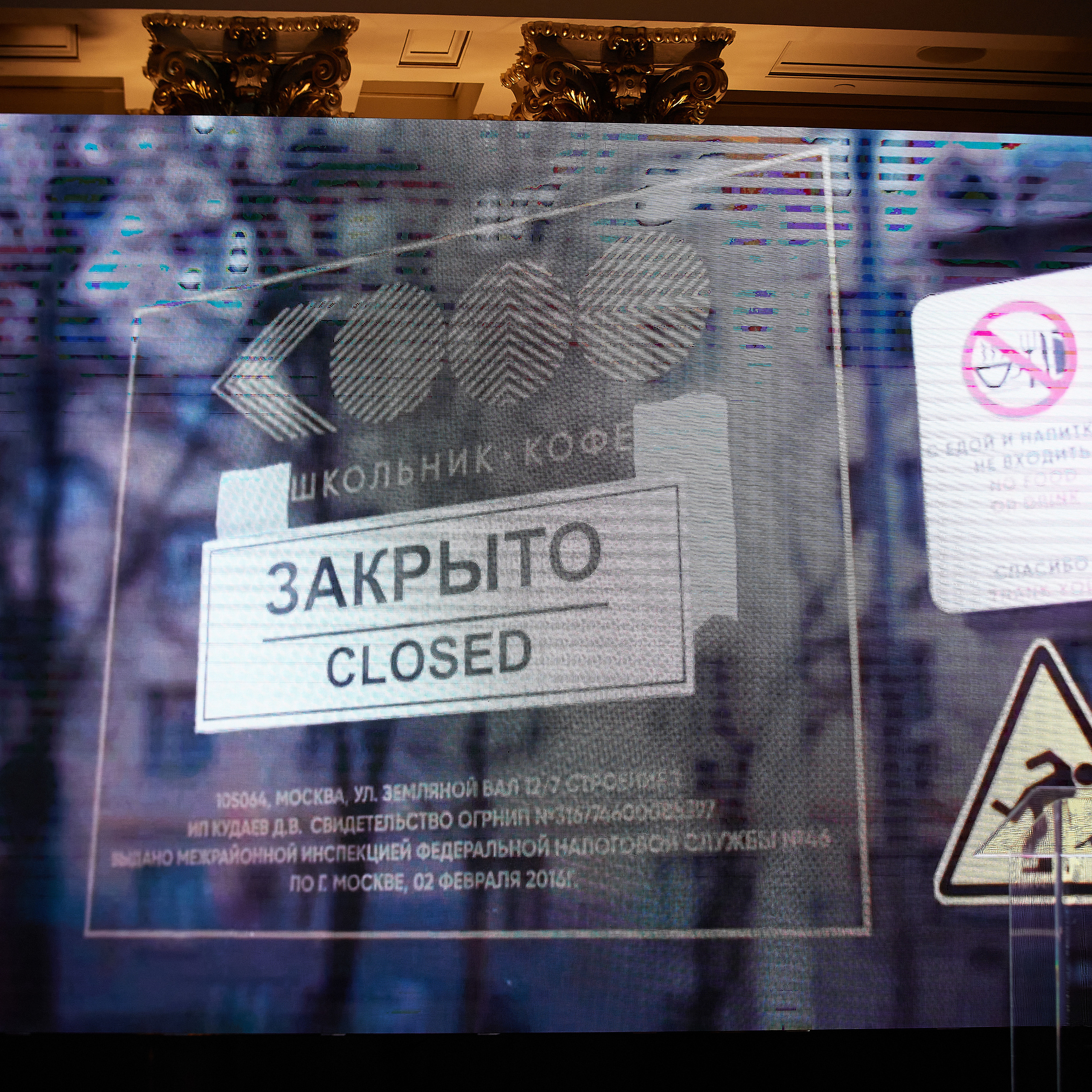 НАГРАЖДЕНИЕ ПОБЕДИТЕЛЕЙ РЕЙТИНГА «BEST RUSSIAN DOG» 2020. ФОТОГРАФ-АНИМАЛИСТ l LANA POLYAKOVA