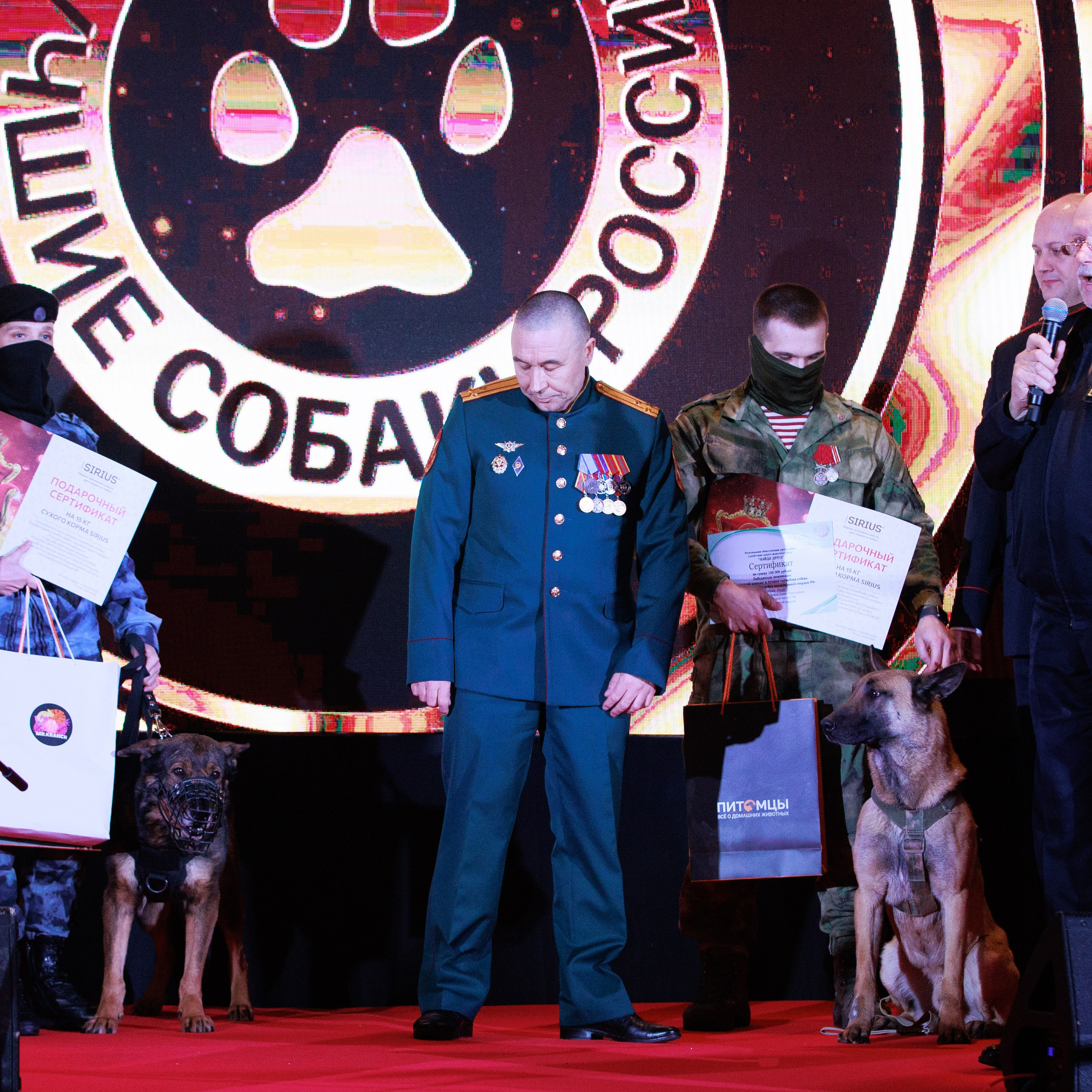 Репортаж с церемонии «BEST RUSSIAN DOG 2024». ФОТОГРАФ-АНИМАЛИСТ l LANA POLYAKOVA