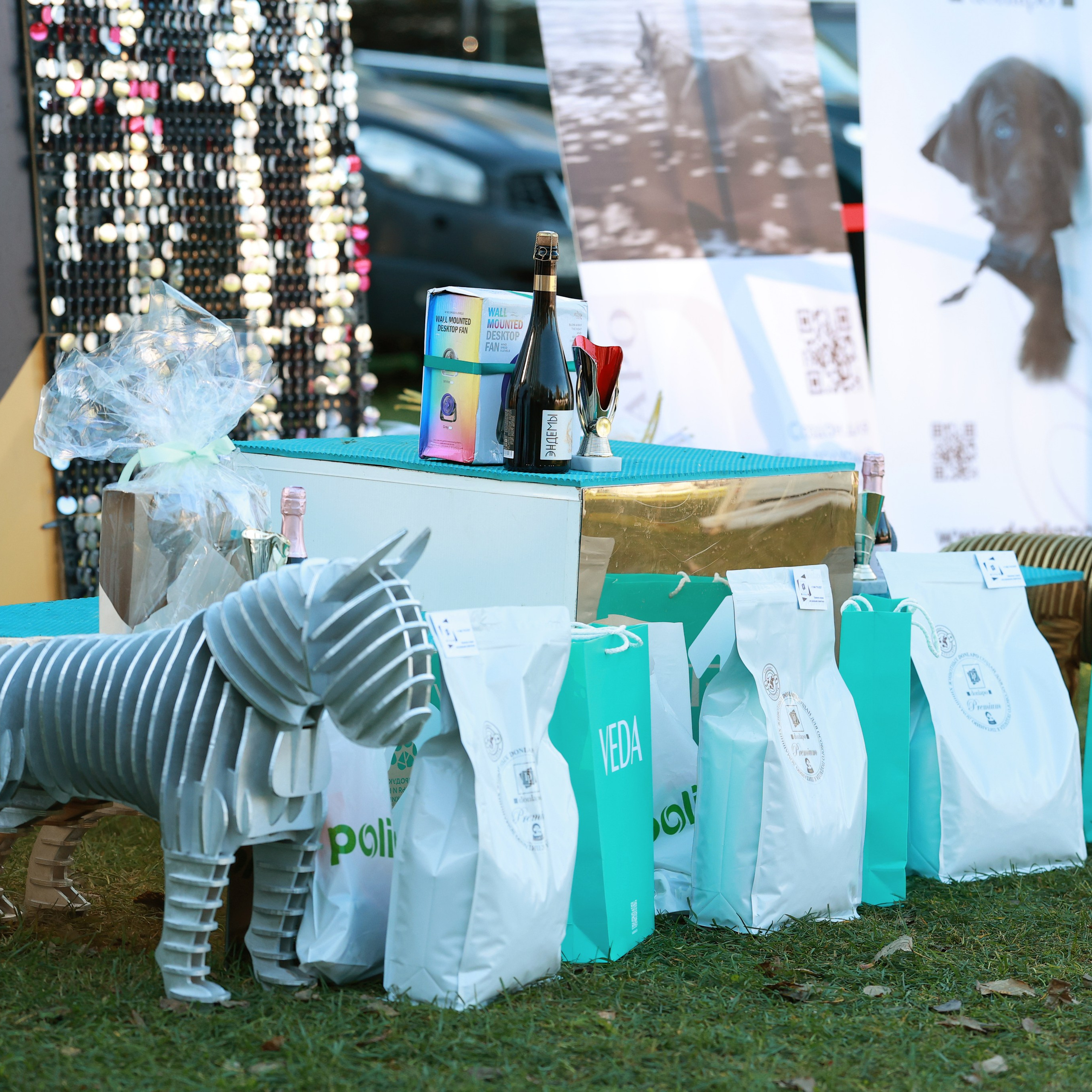 27-28.09.2025 ВЫСТАВКИ СОБАК ВСЕХ ПОРОД (САС, ЧРКФ, ЧФ). ФОТОГРАФ-АНИМАЛИСТ l LANA POLYAKOVA