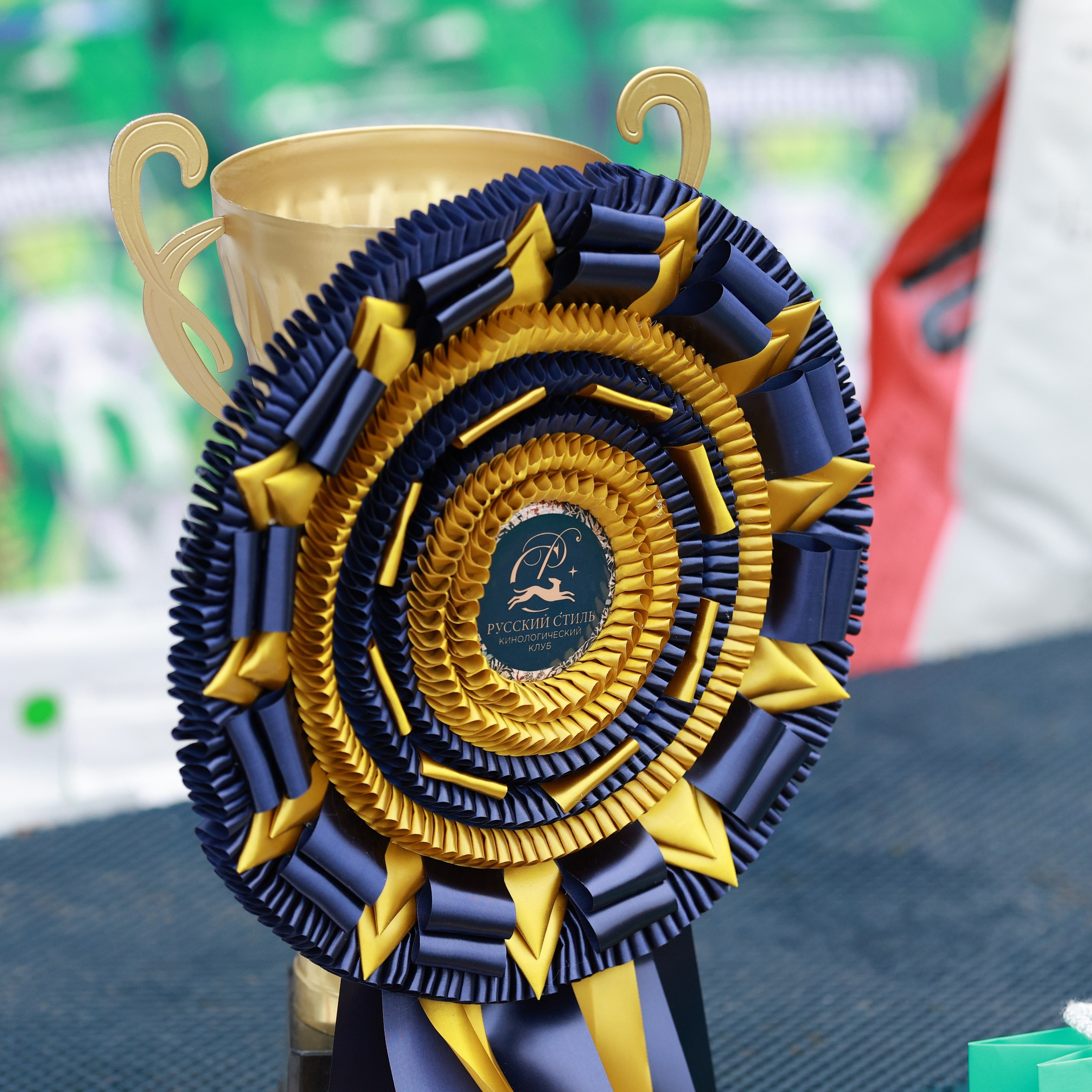 27-28.09.2025 ВЫСТАВКИ СОБАК ВСЕХ ПОРОД (САС, ЧРКФ, ЧФ). ФОТОГРАФ-АНИМАЛИСТ l LANA POLYAKOVA