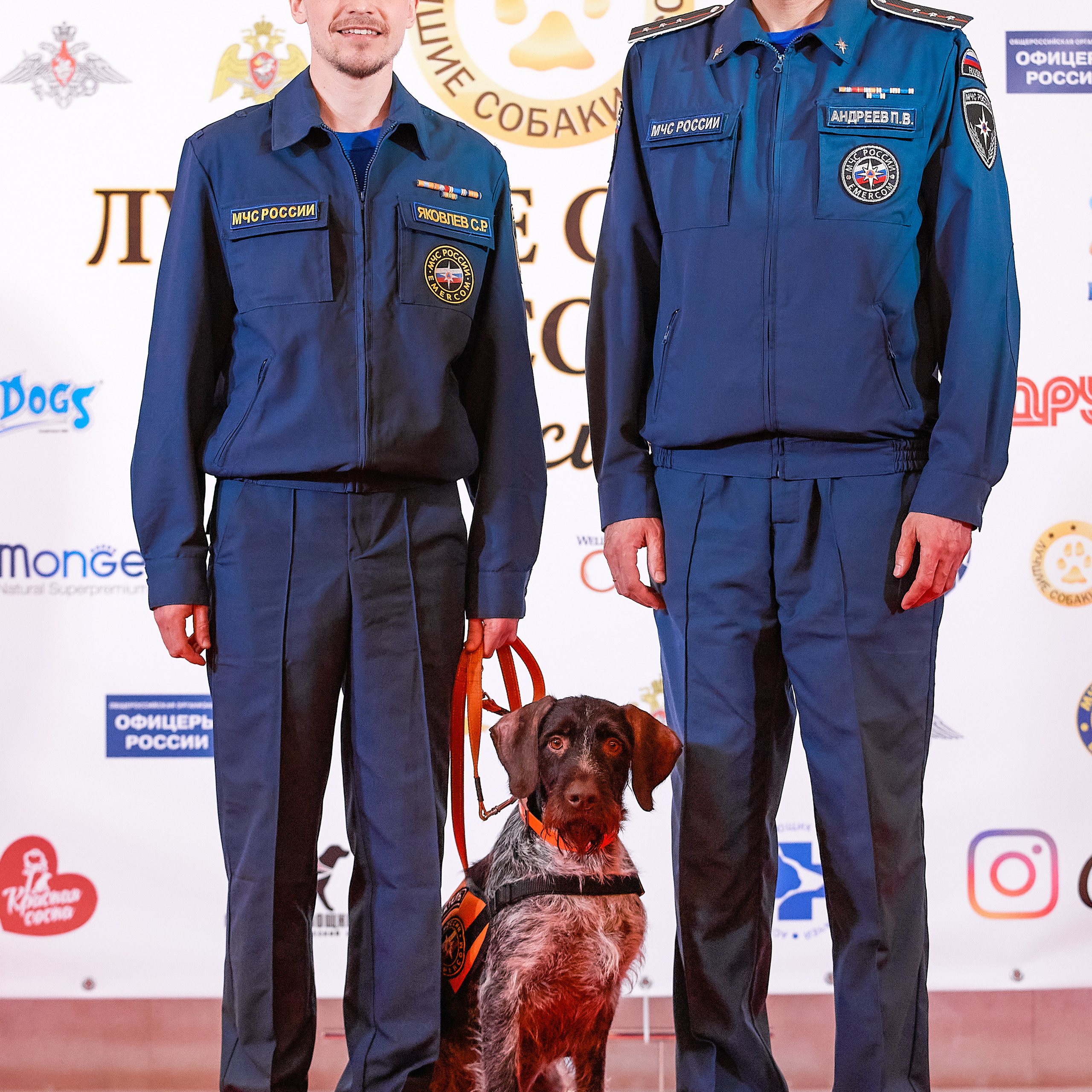 Репортаж с церемонии «BEST RUSSIAN DOG 2021». ФОТОГРАФ-АНИМАЛИСТ l LANA POLYAKOVA