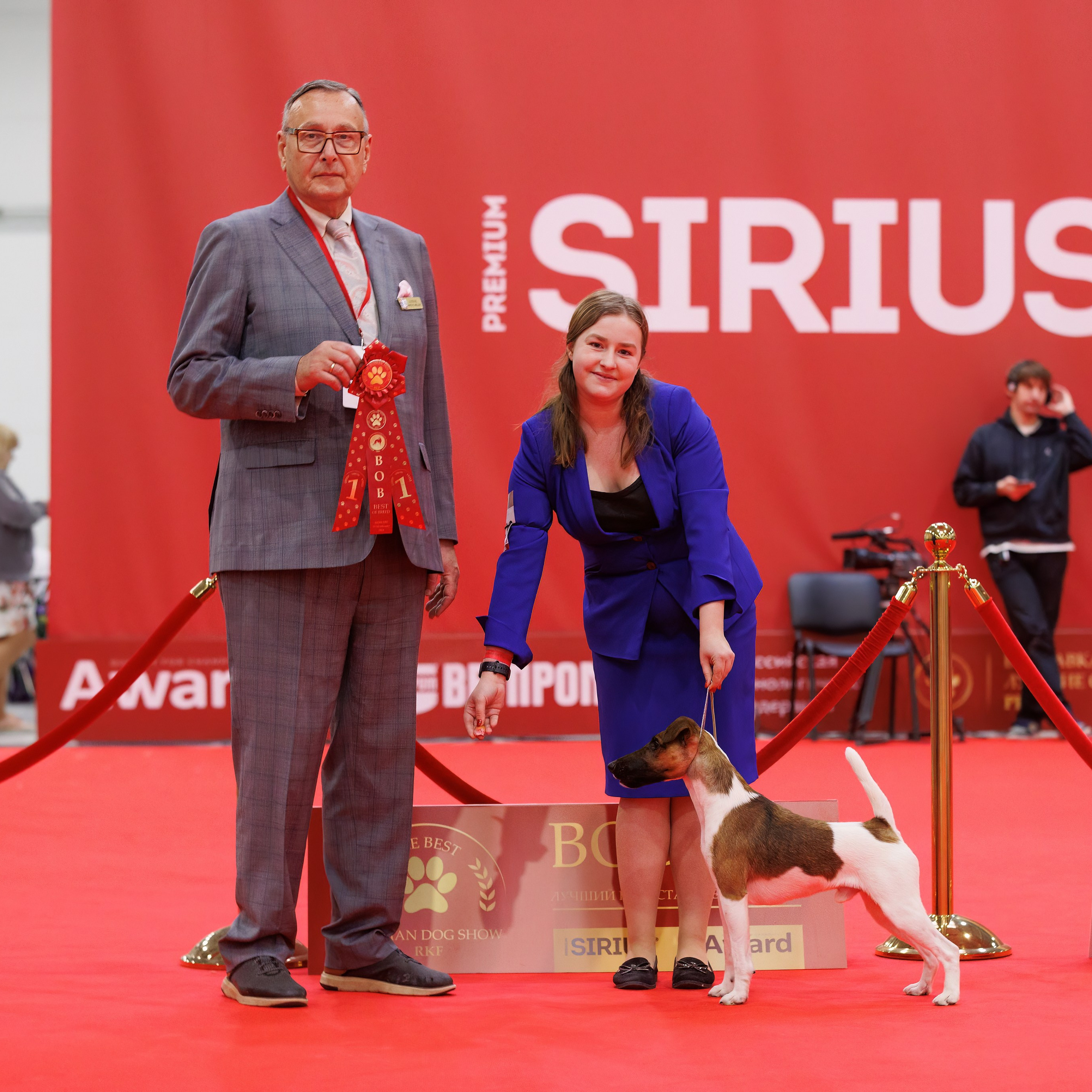 Новое шоу чемпионов «ЛУЧШИЕ СОБАКИ РОССИИ». ФОТОГРАФ-АНИМАЛИСТ l LANA POLYAKOVA