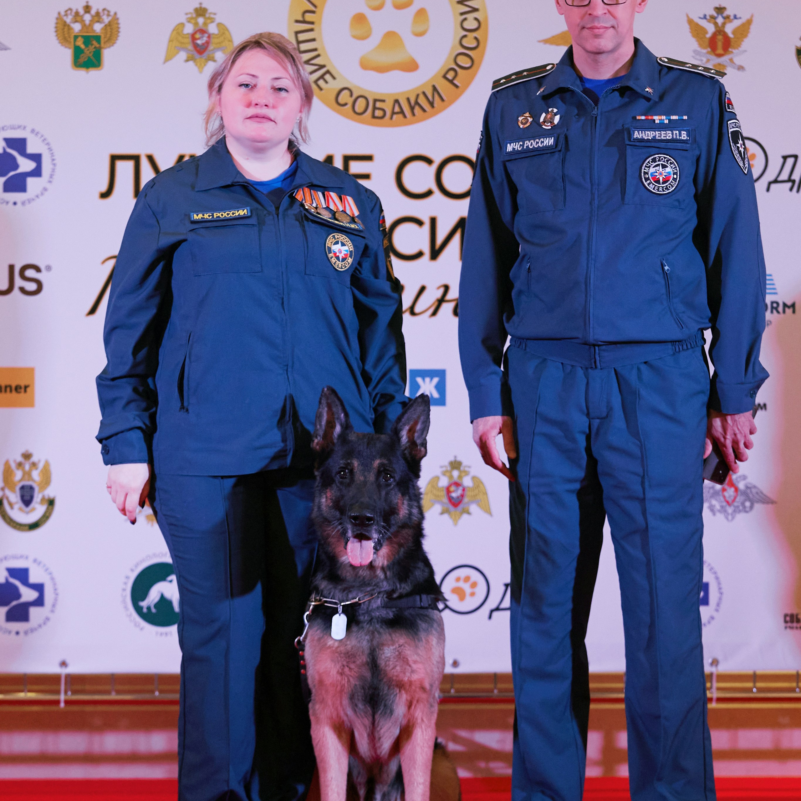 Репортаж с церемонии «BEST RUSSIAN DOG 2024». ФОТОГРАФ-АНИМАЛИСТ l LANA POLYAKOVA