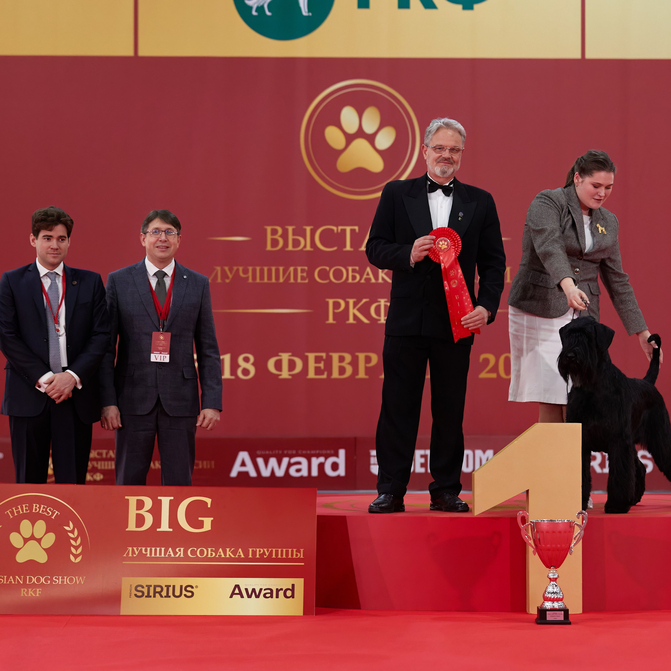 Новое шоу чемпионов «ЛУЧШИЕ СОБАКИ РОССИИ». ФОТОГРАФ-АНИМАЛИСТ l LANA POLYAKOVA