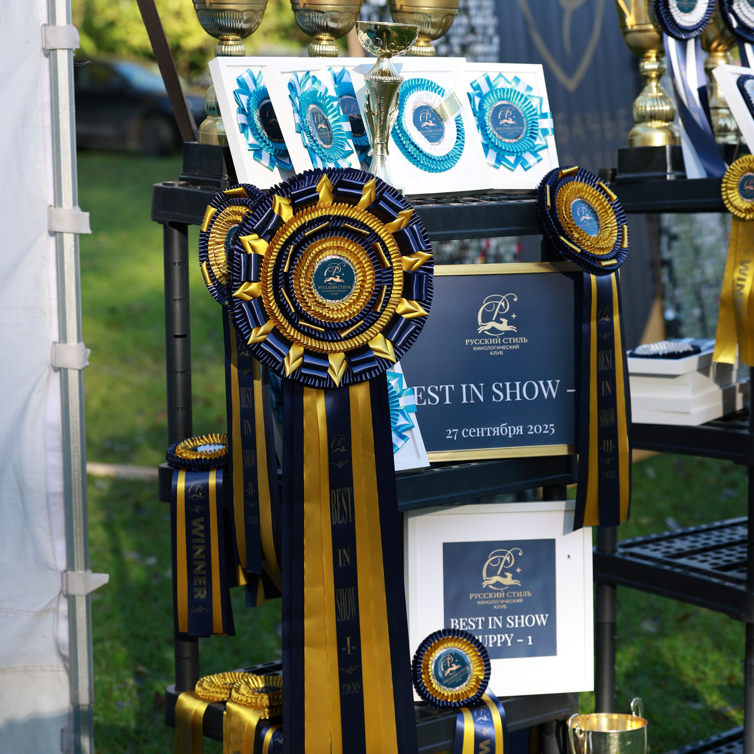 27-28.09.2025 ВЫСТАВКИ СОБАК ВСЕХ ПОРОД (САС, ЧРКФ, ЧФ). ФОТОГРАФ-АНИМАЛИСТ l LANA POLYAKOVA