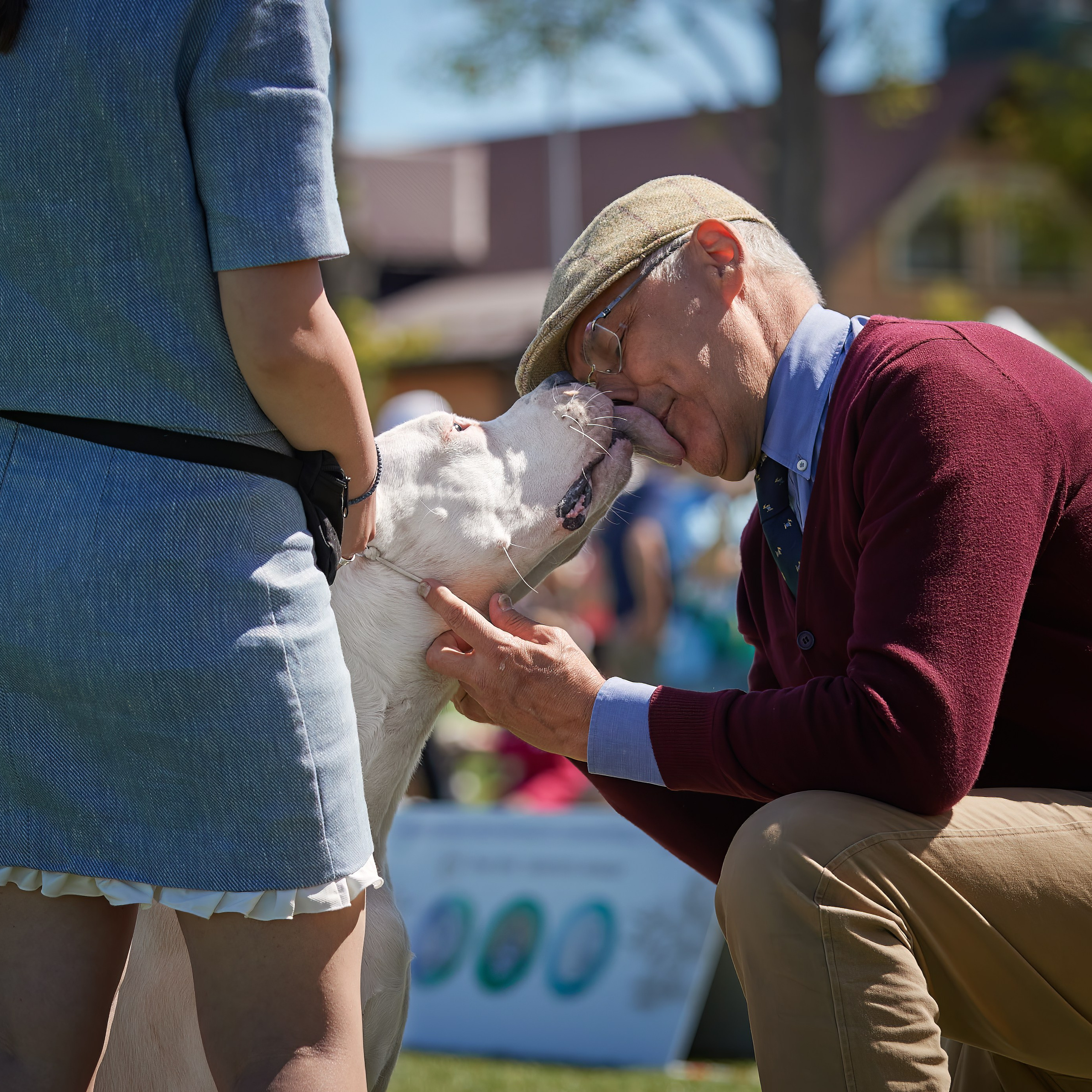 Отгремела «Суздаль-2024». ФОТОГРАФ-АНИМАЛИСТ l LANA POLYAKOVA