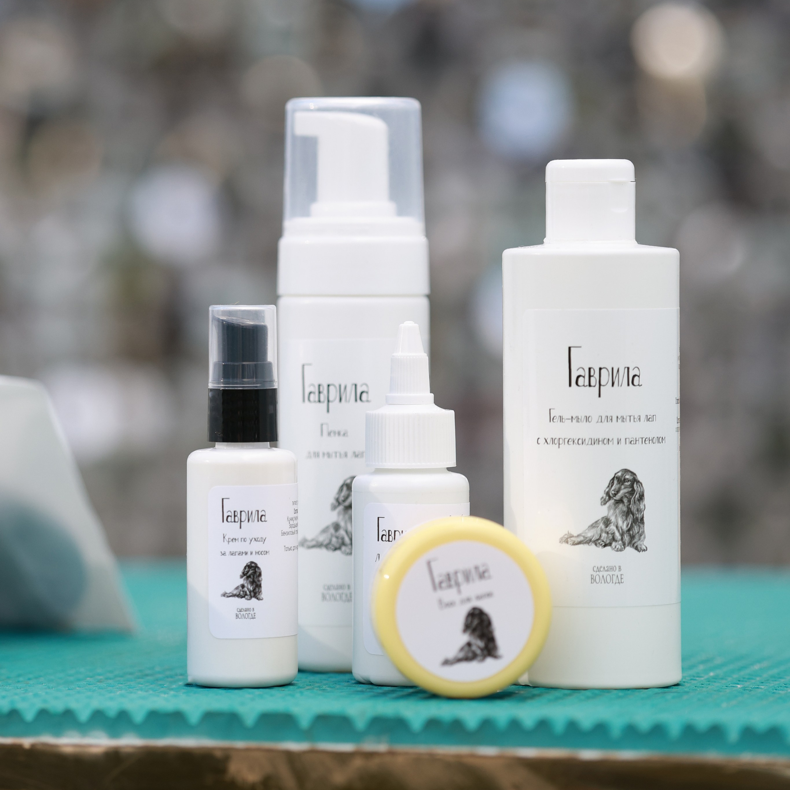 27-28.09.2025 ВЫСТАВКИ СОБАК ВСЕХ ПОРОД (САС, ЧРКФ, ЧФ). ФОТОГРАФ-АНИМАЛИСТ l LANA POLYAKOVA