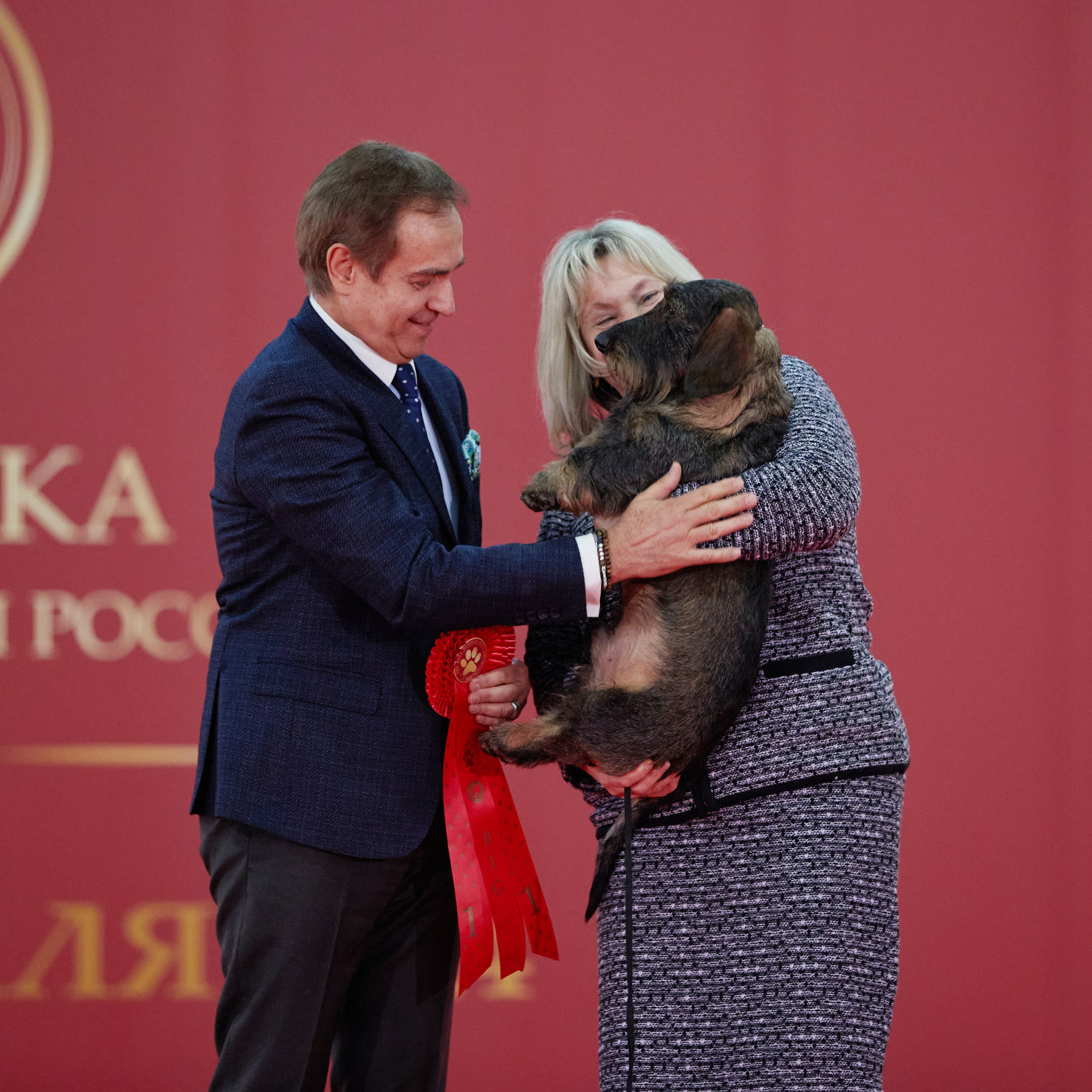 Новое шоу чемпионов «ЛУЧШИЕ СОБАКИ РОССИИ». ФОТОГРАФ-АНИМАЛИСТ l LANA POLYAKOVA
