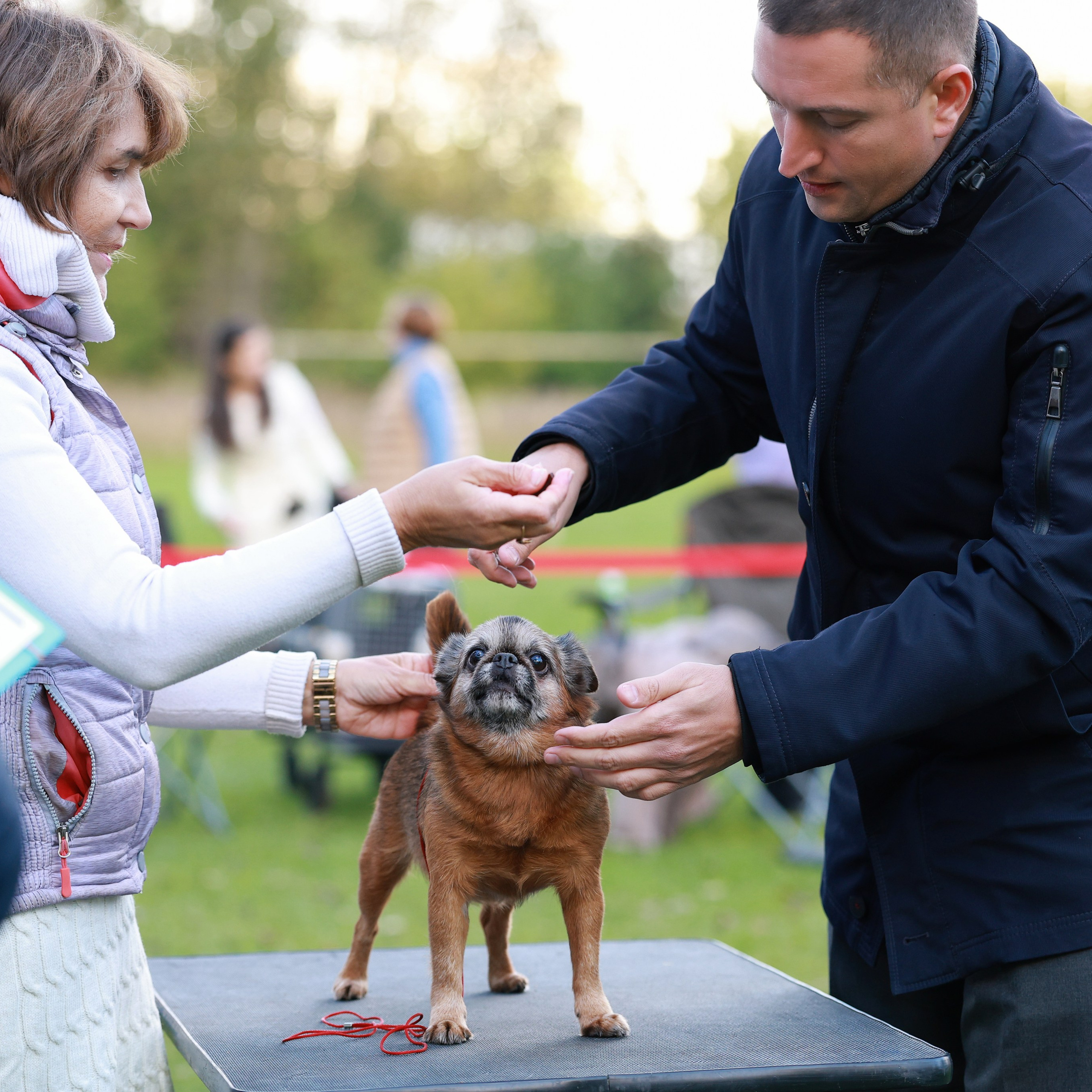 27-28.09.2025 ВЫСТАВКИ СОБАК ВСЕХ ПОРОД (САС, ЧРКФ, ЧФ). ФОТОГРАФ-АНИМАЛИСТ l LANA POLYAKOVA