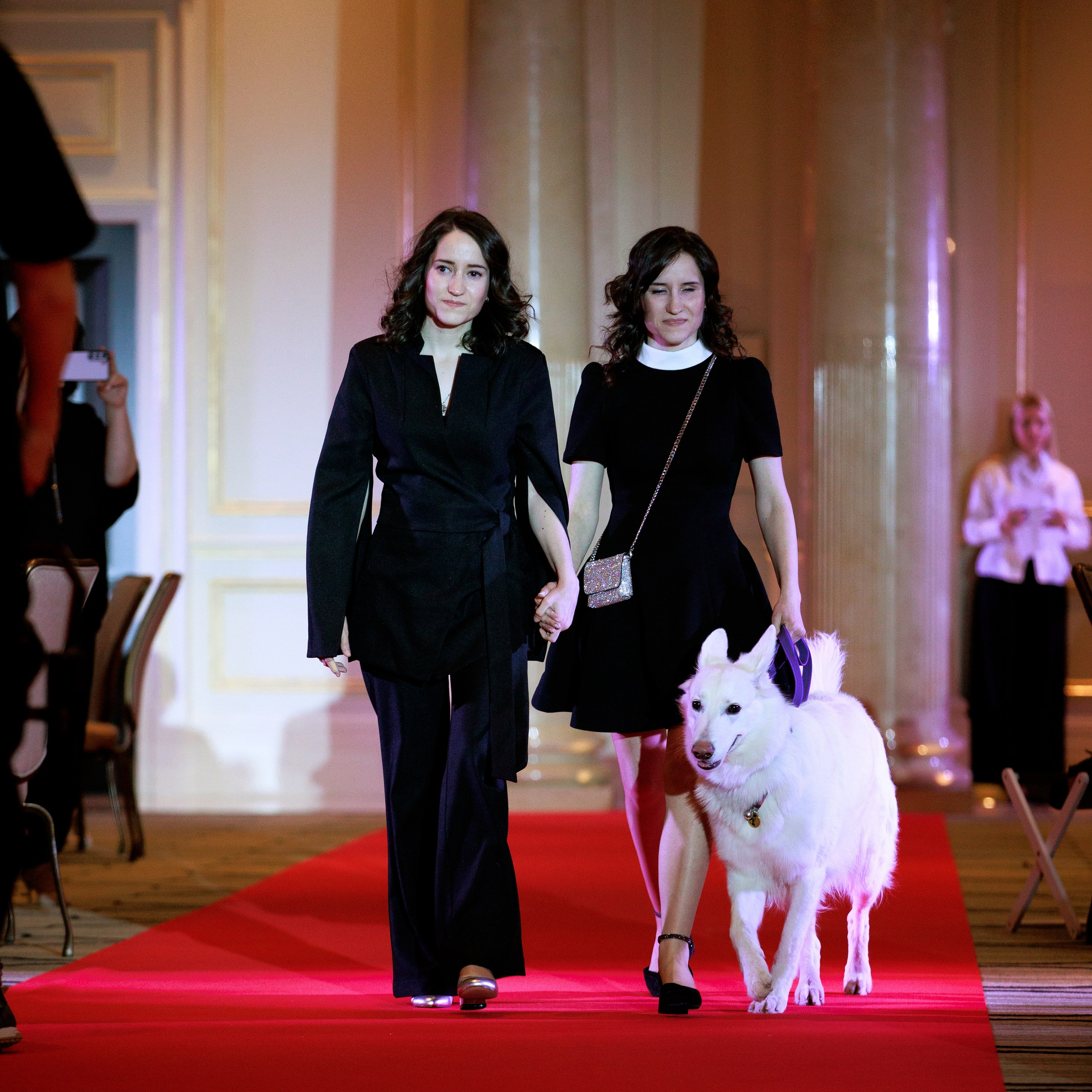 Репортаж с церемонии «BEST RUSSIAN DOG 2024». ФОТОГРАФ-АНИМАЛИСТ l LANA POLYAKOVA