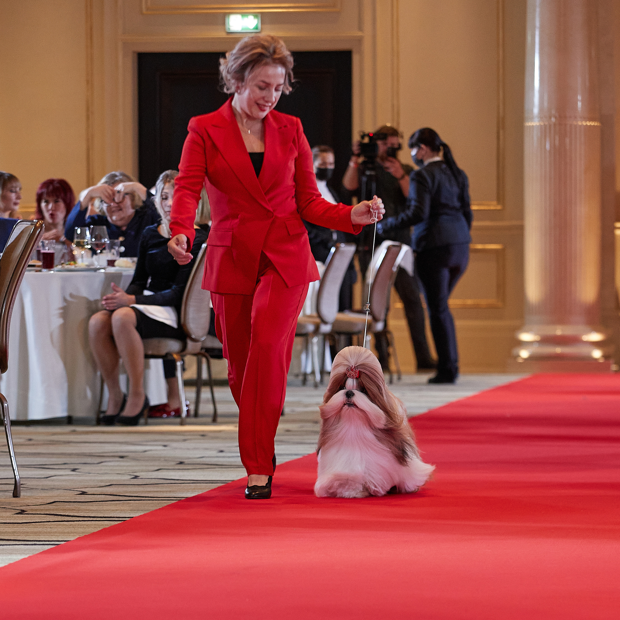 НАГРАЖДЕНИЕ ПОБЕДИТЕЛЕЙ РЕЙТИНГА «BEST RUSSIAN DOG» 2020. ФОТОГРАФ-АНИМАЛИСТ l LANA POLYAKOVA