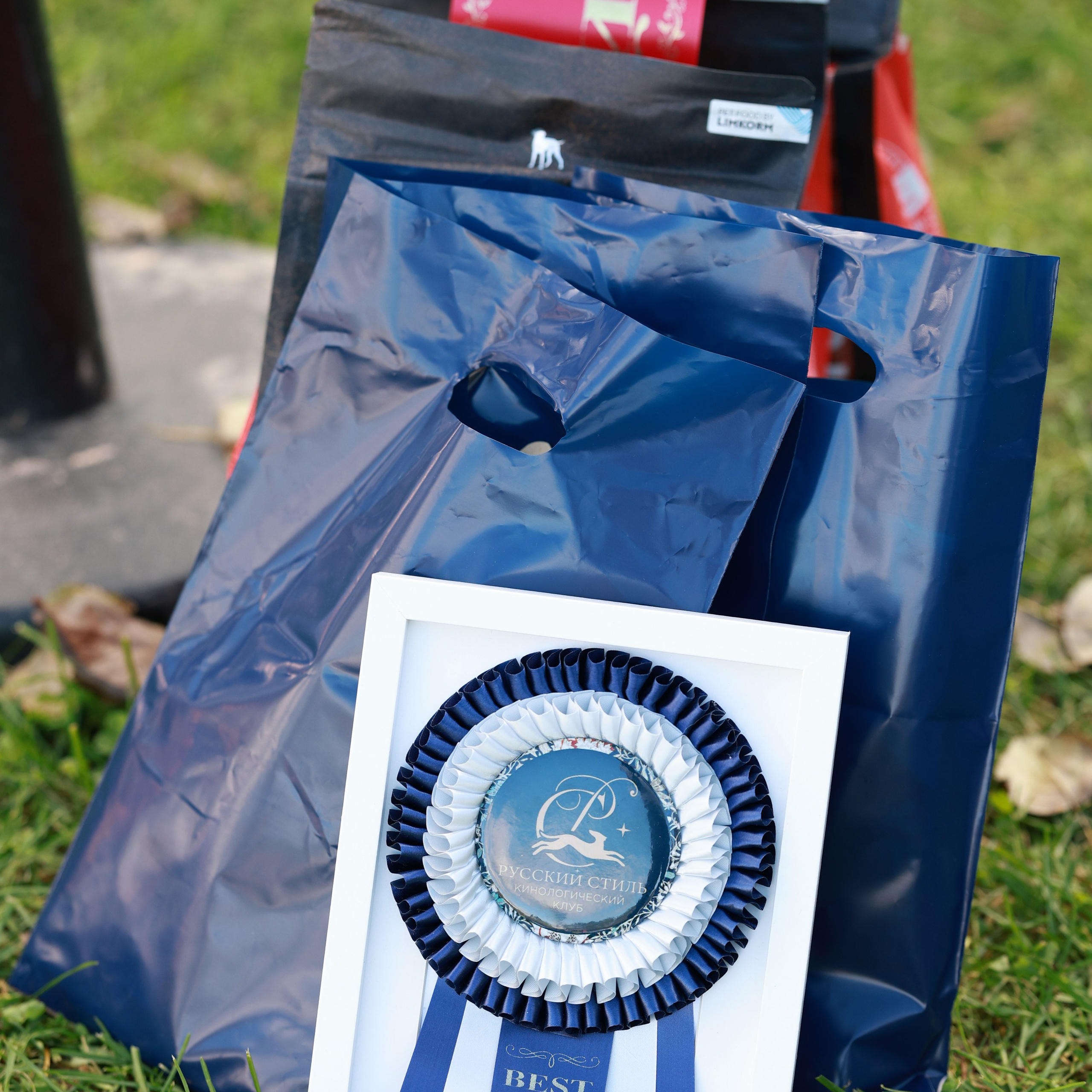 27-28.09.2025 ВЫСТАВКИ СОБАК ВСЕХ ПОРОД (САС, ЧРКФ, ЧФ). ФОТОГРАФ-АНИМАЛИСТ l LANA POLYAKOVA