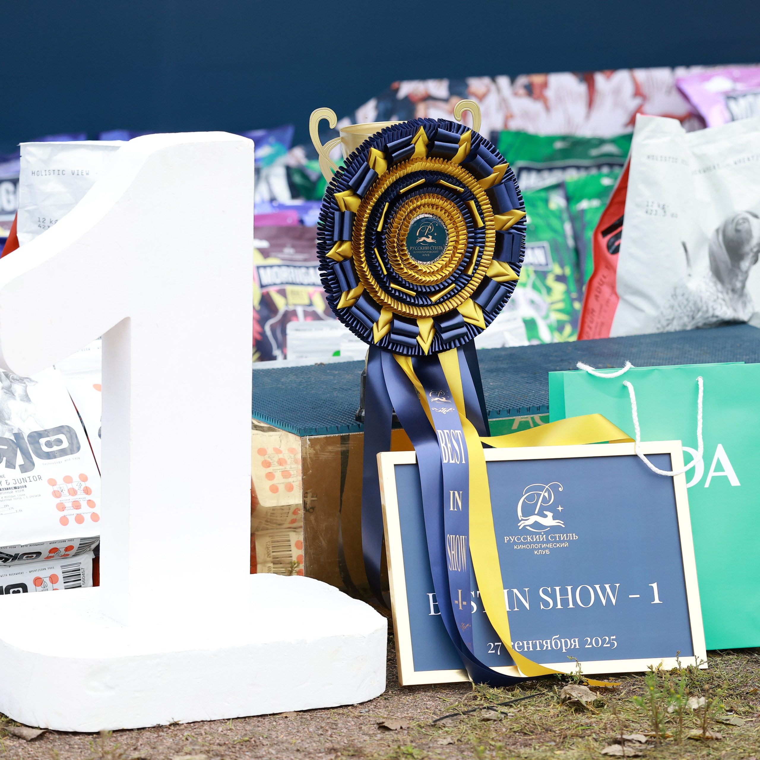 27-28.09.2025 ВЫСТАВКИ СОБАК ВСЕХ ПОРОД (САС, ЧРКФ, ЧФ). ФОТОГРАФ-АНИМАЛИСТ l LANA POLYAKOVA