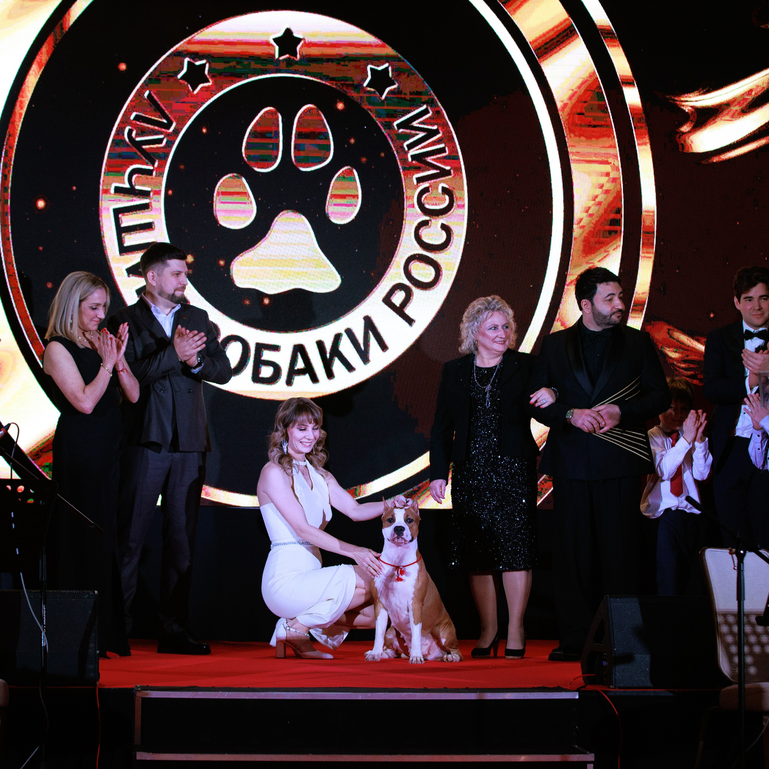 Репортаж с церемонии «BEST RUSSIAN DOG 2024». ФОТОГРАФ-АНИМАЛИСТ l LANA POLYAKOVA