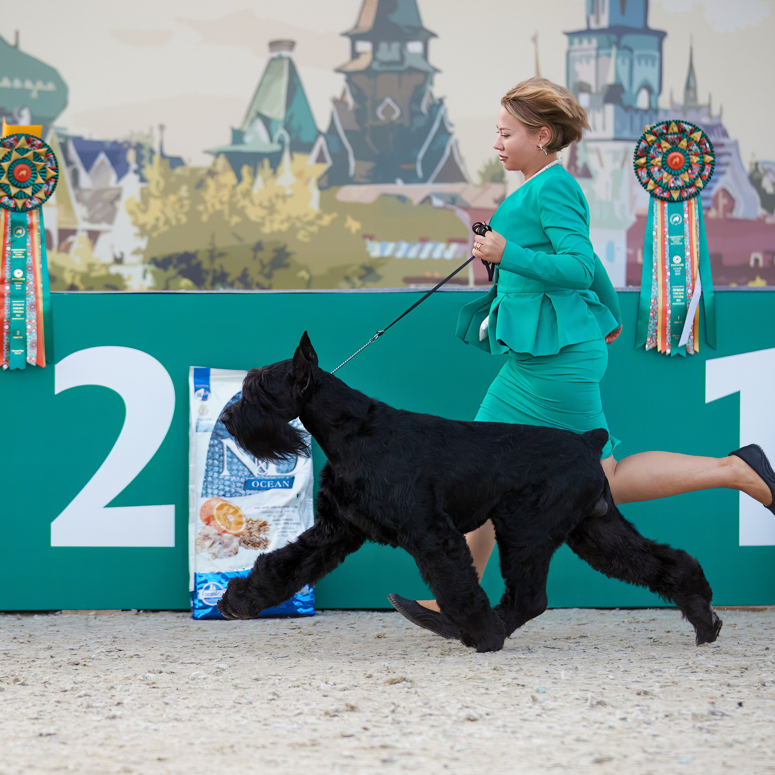 «Россия. Кубок РКФ 2024» и «Россия. Кубок Москвы 2024». ФОТОГРАФ-АНИМАЛИСТ l LANA POLYAKOVA