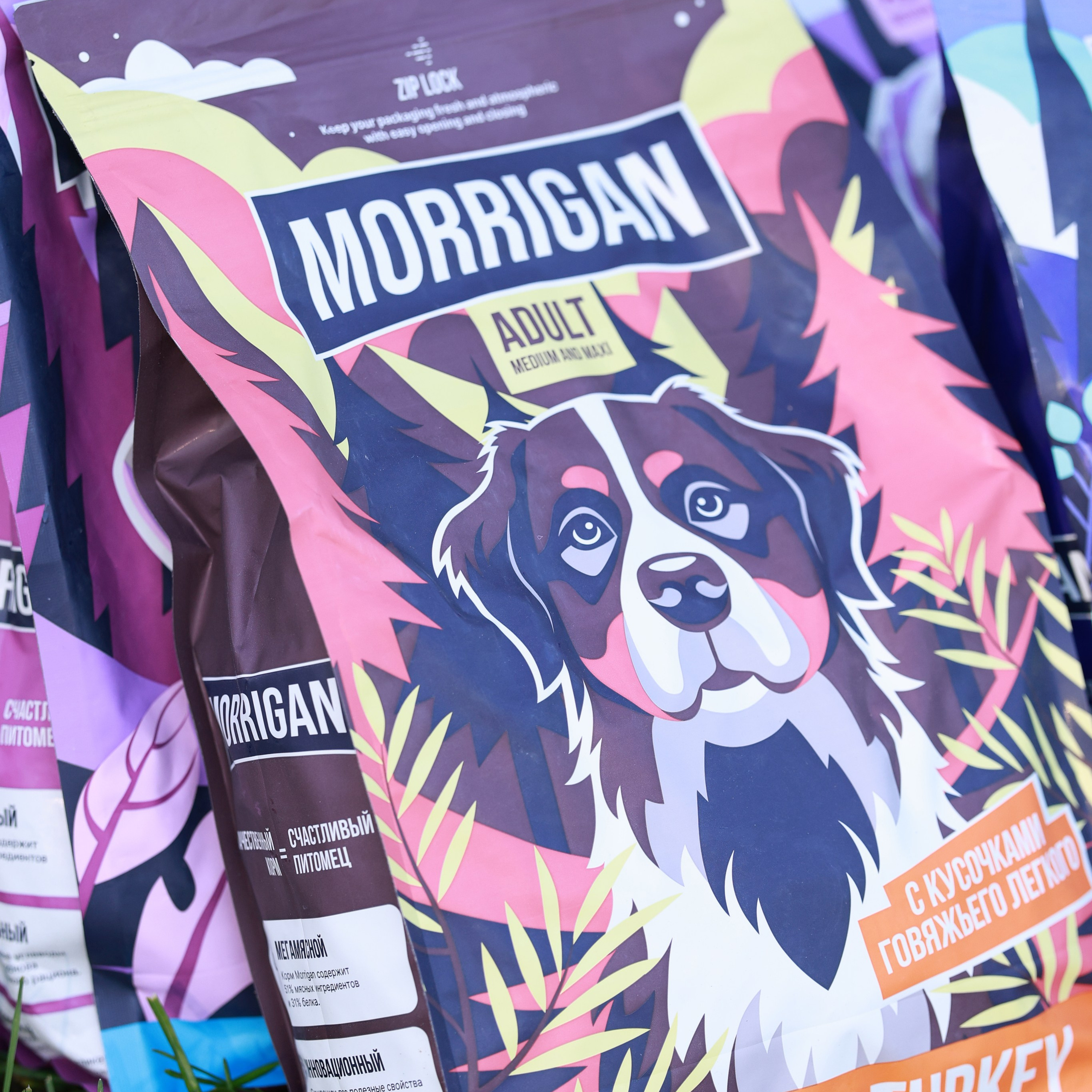 27-28.09.2025 ВЫСТАВКИ СОБАК ВСЕХ ПОРОД (САС, ЧРКФ, ЧФ). ФОТОГРАФ-АНИМАЛИСТ l LANA POLYAKOVA