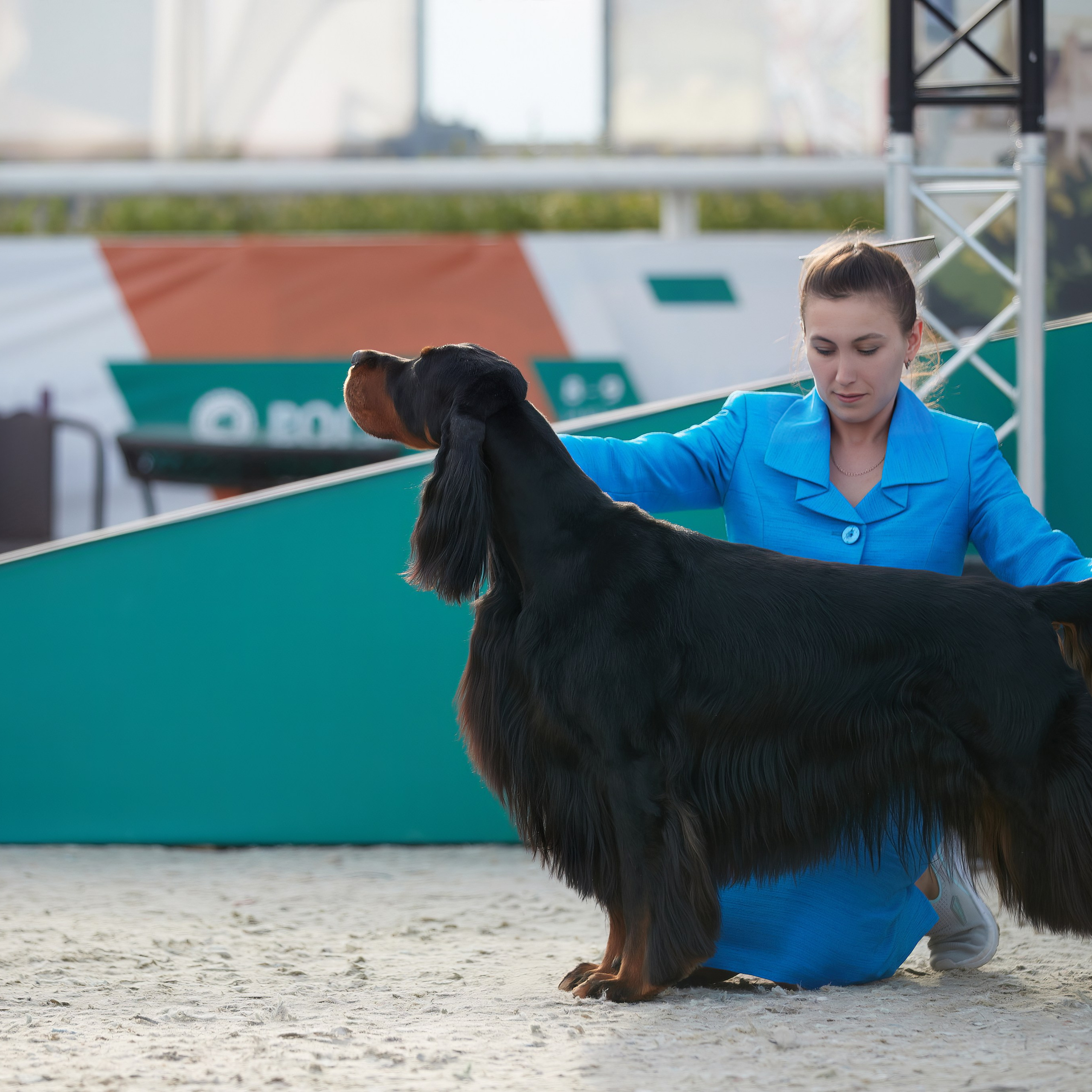 «Россия. Кубок РКФ 2024» и «Россия. Кубок Москвы 2024». ФОТОГРАФ-АНИМАЛИСТ l LANA POLYAKOVA