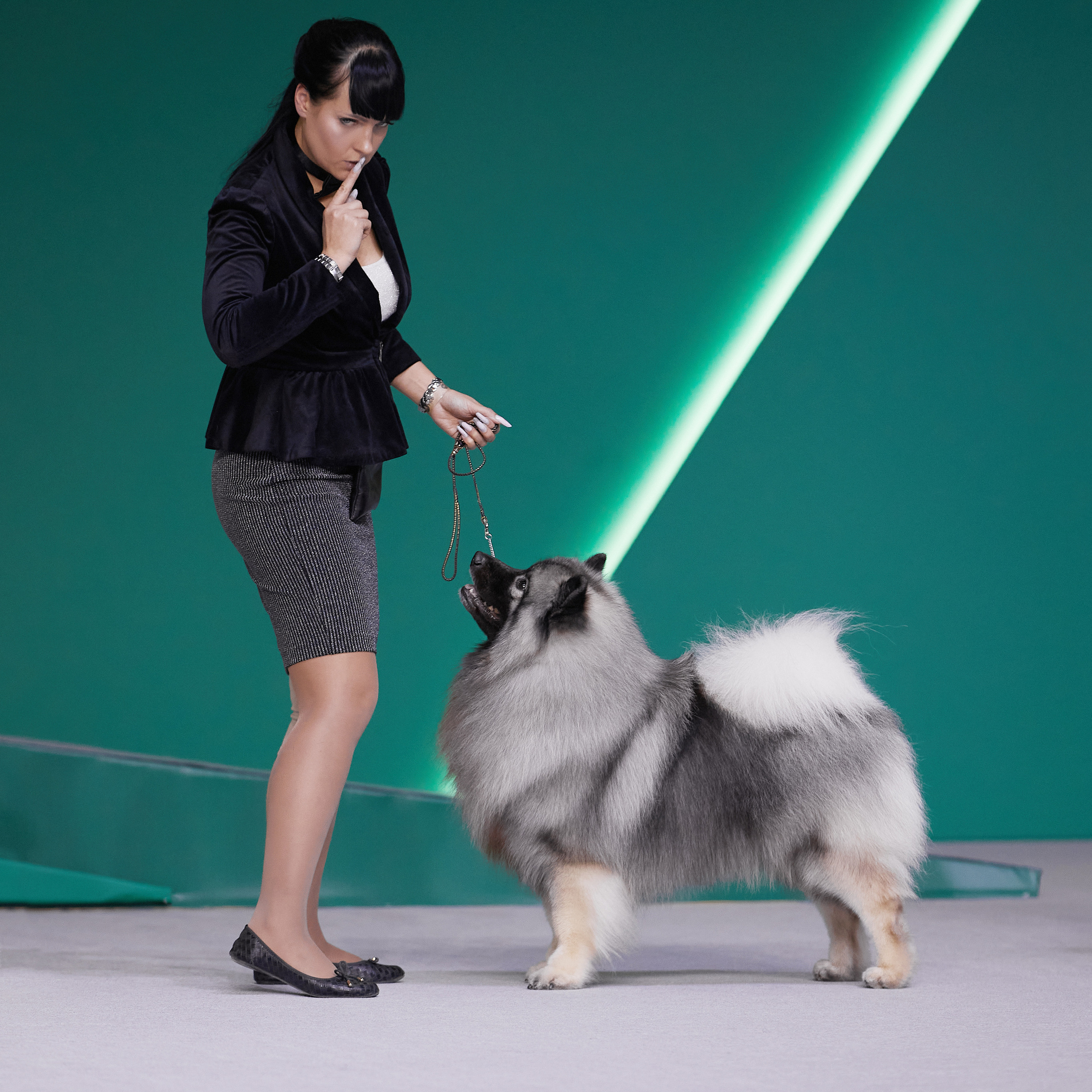 «Россия» в Крокусе. ФОТОГРАФ-АНИМАЛИСТ l LANA POLYAKOVA