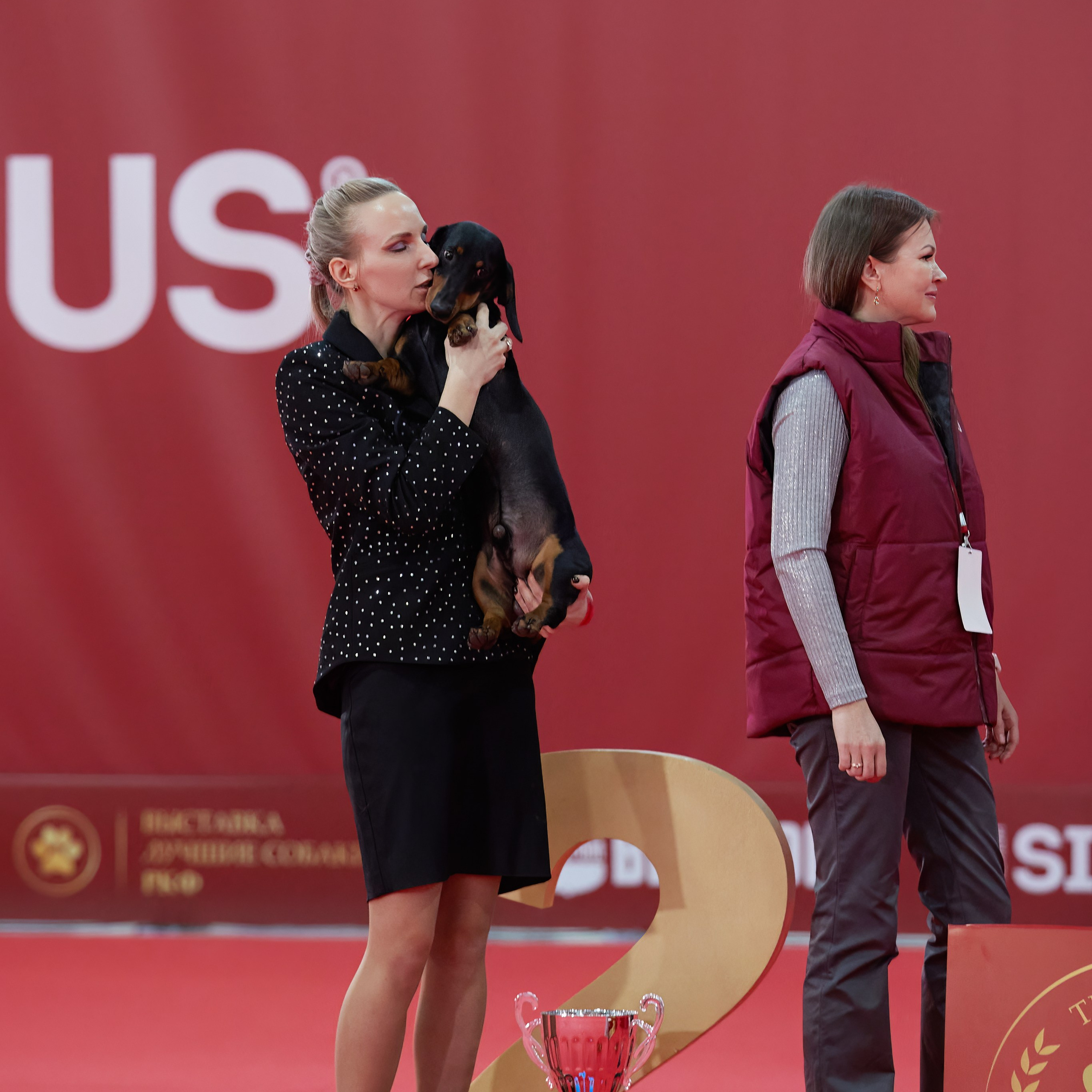 Новое шоу чемпионов «ЛУЧШИЕ СОБАКИ РОССИИ». ФОТОГРАФ-АНИМАЛИСТ l LANA POLYAKOVA