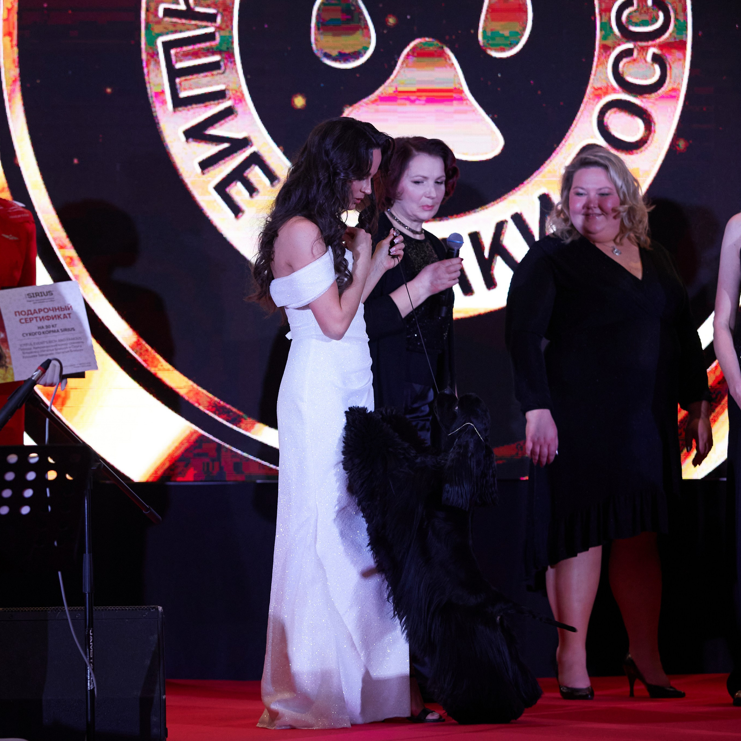 Репортаж с церемонии «BEST RUSSIAN DOG 2024». ФОТОГРАФ-АНИМАЛИСТ l LANA POLYAKOVA