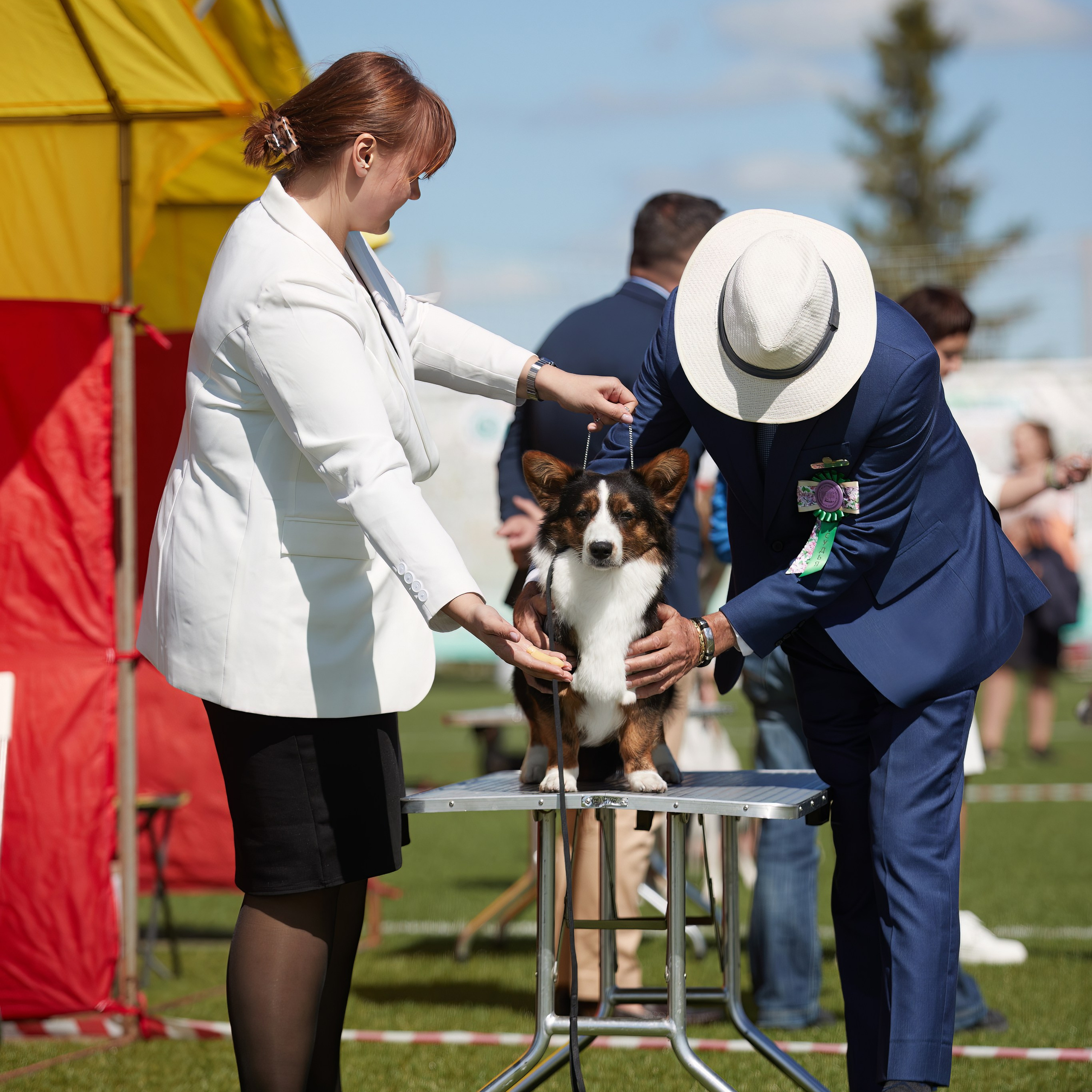 Отгремела «Суздаль-2024». ФОТОГРАФ-АНИМАЛИСТ l LANA POLYAKOVA