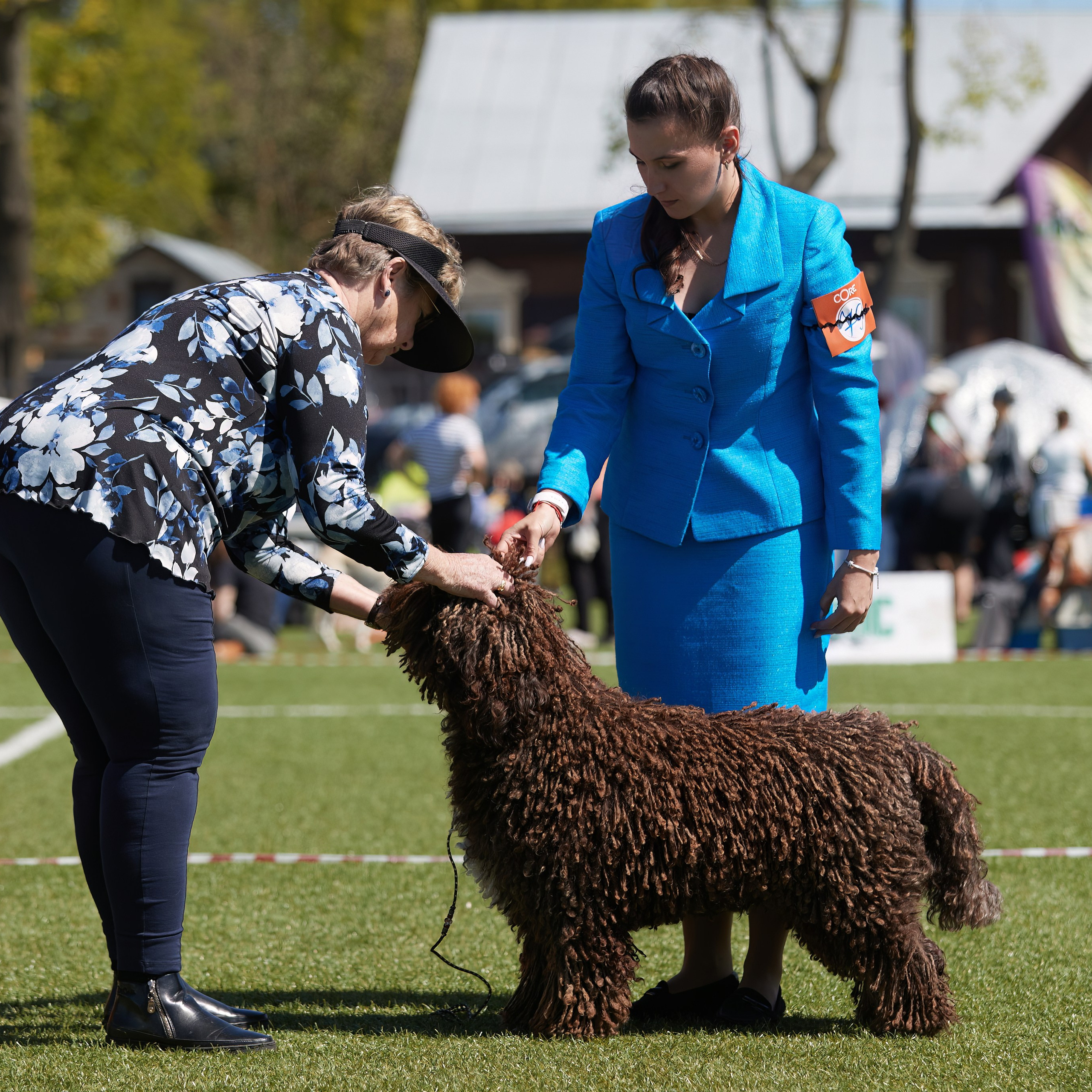Отгремела «Суздаль-2024». ФОТОГРАФ-АНИМАЛИСТ l LANA POLYAKOVA