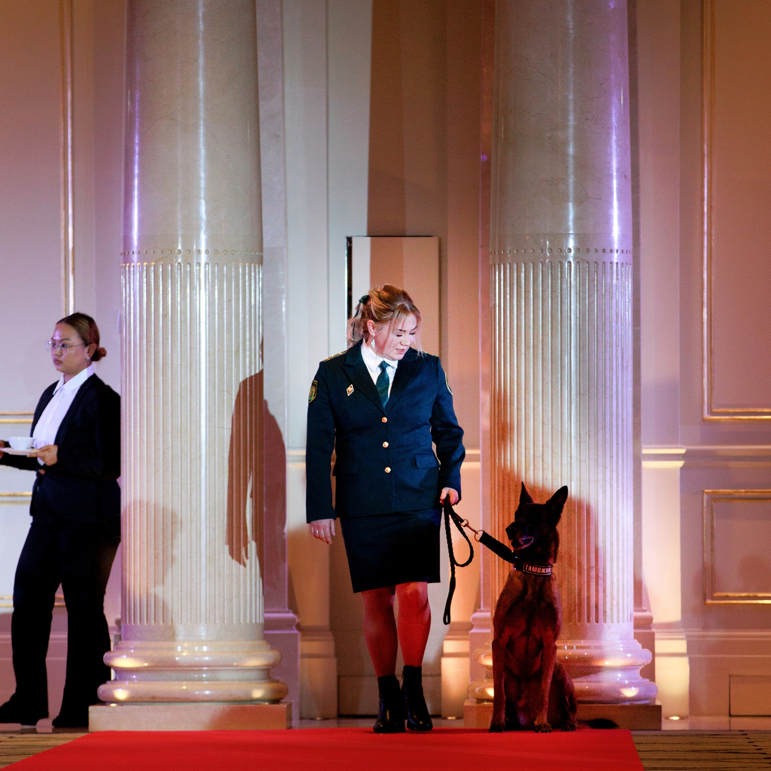 Репортаж с церемонии «BEST RUSSIAN DOG 2024». ФОТОГРАФ-АНИМАЛИСТ l LANA POLYAKOVA