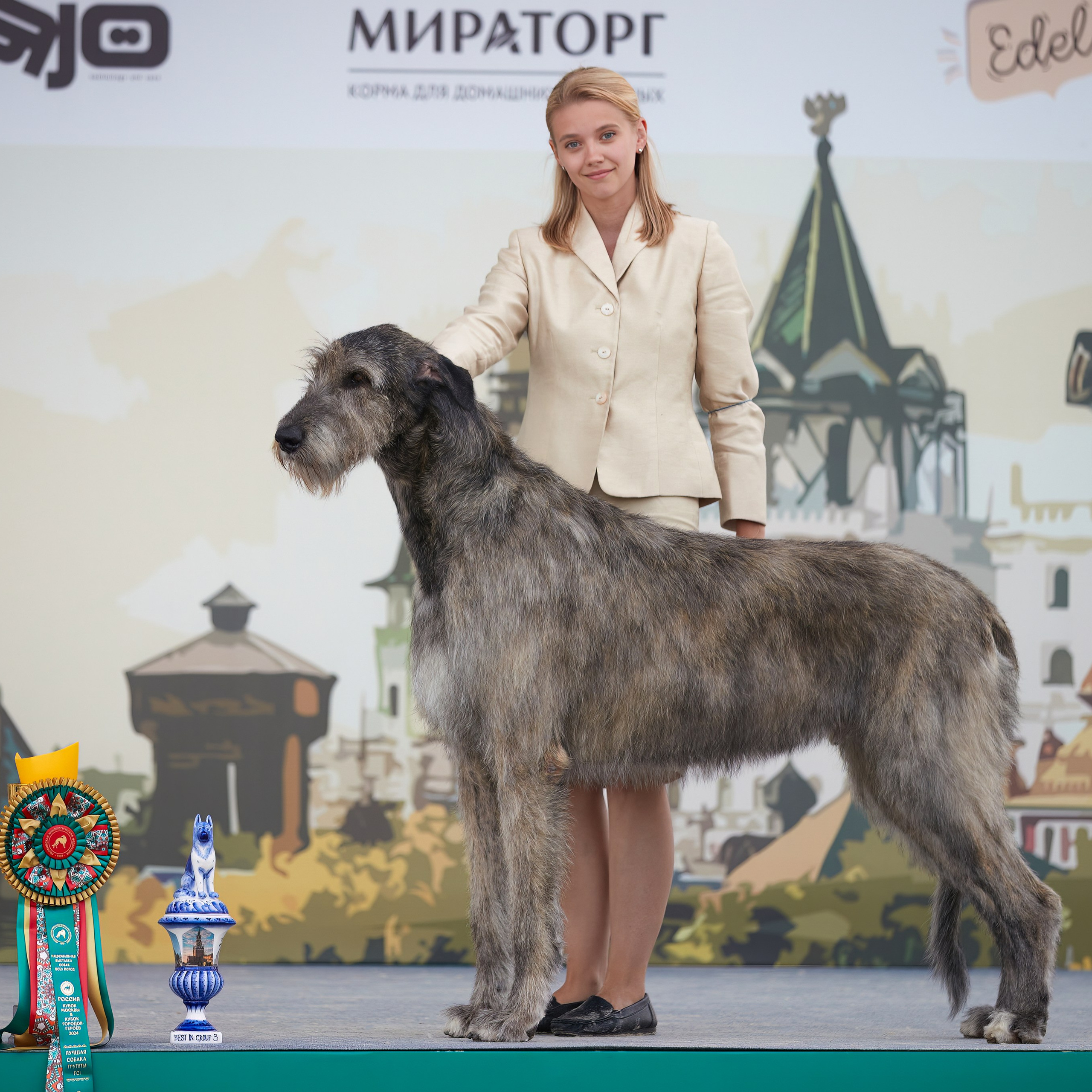 «Россия. Кубок РКФ 2024» и «Россия. Кубок Москвы 2024». ФОТОГРАФ-АНИМАЛИСТ l LANA POLYAKOVA