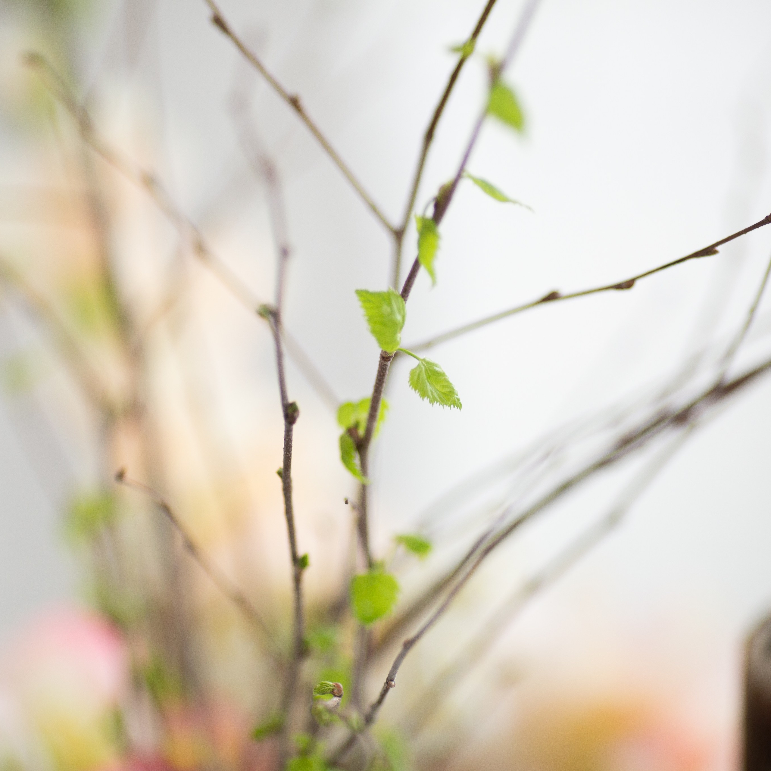 Каминный зал