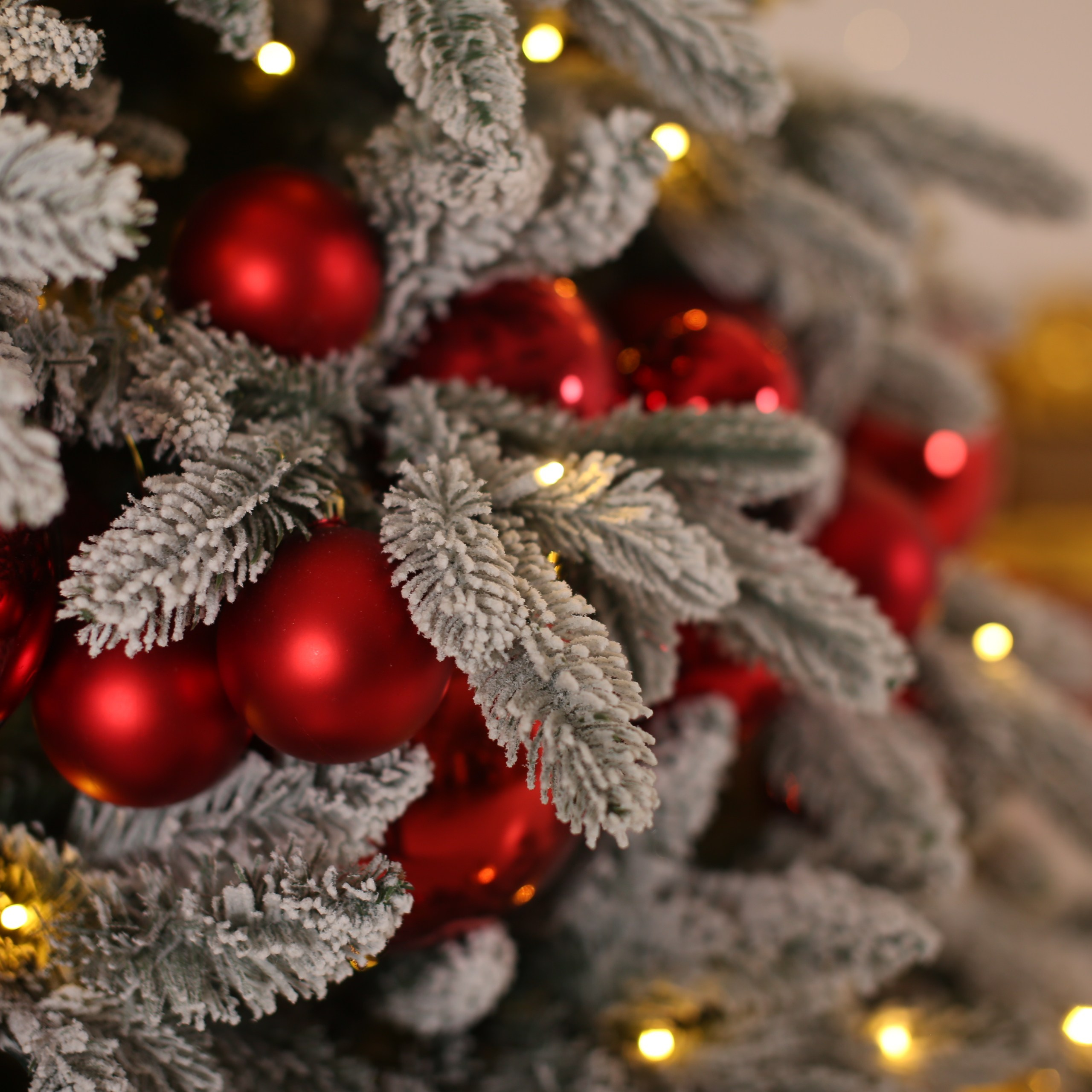 Основной зал