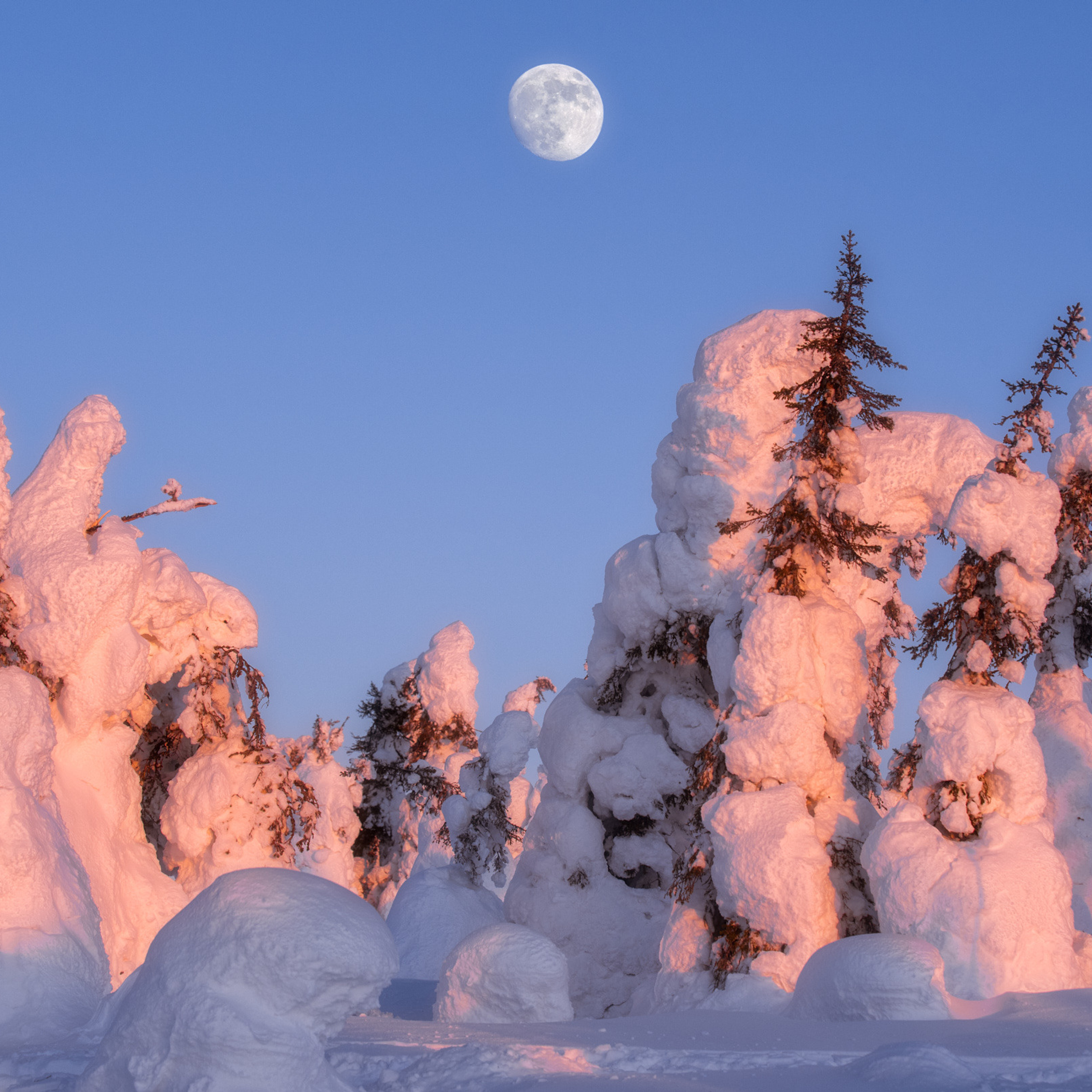 Зимняя сказка Паанаярви. Андрей Баскевич пейзажный и travel-фотограф в Зеленограде