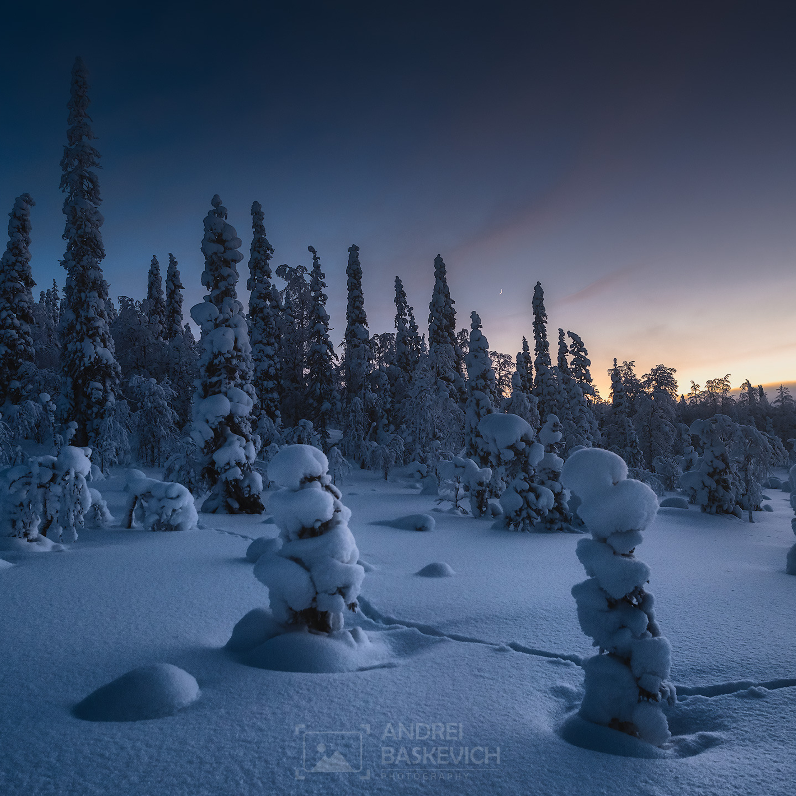 Зимняя сказка Паанаярви. Андрей Баскевич пейзажный и travel-фотограф в Зеленограде