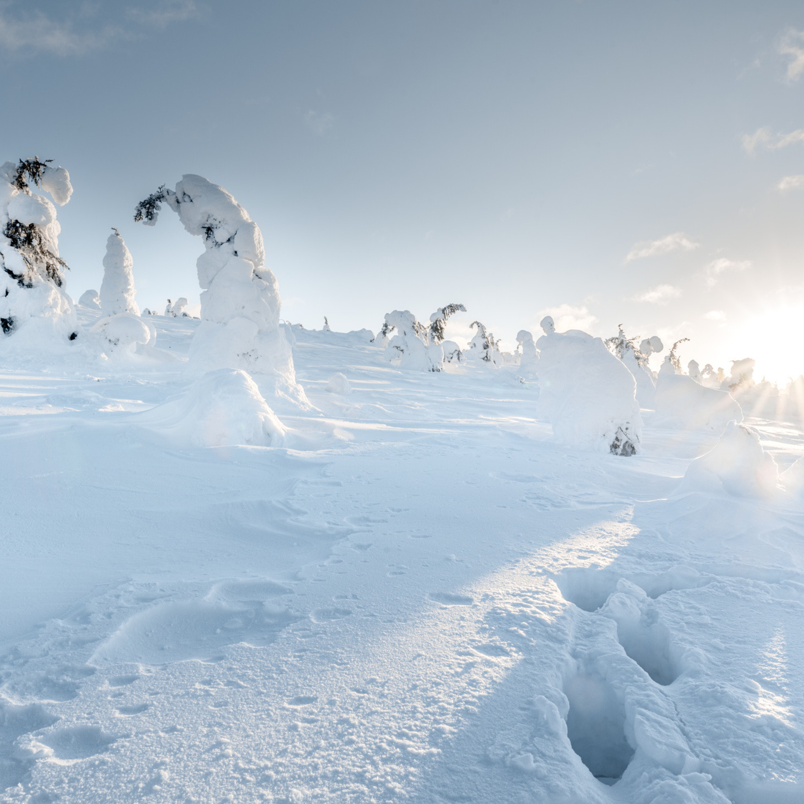 Гора Нуорунен в Национальном парке Паанаярви зимой