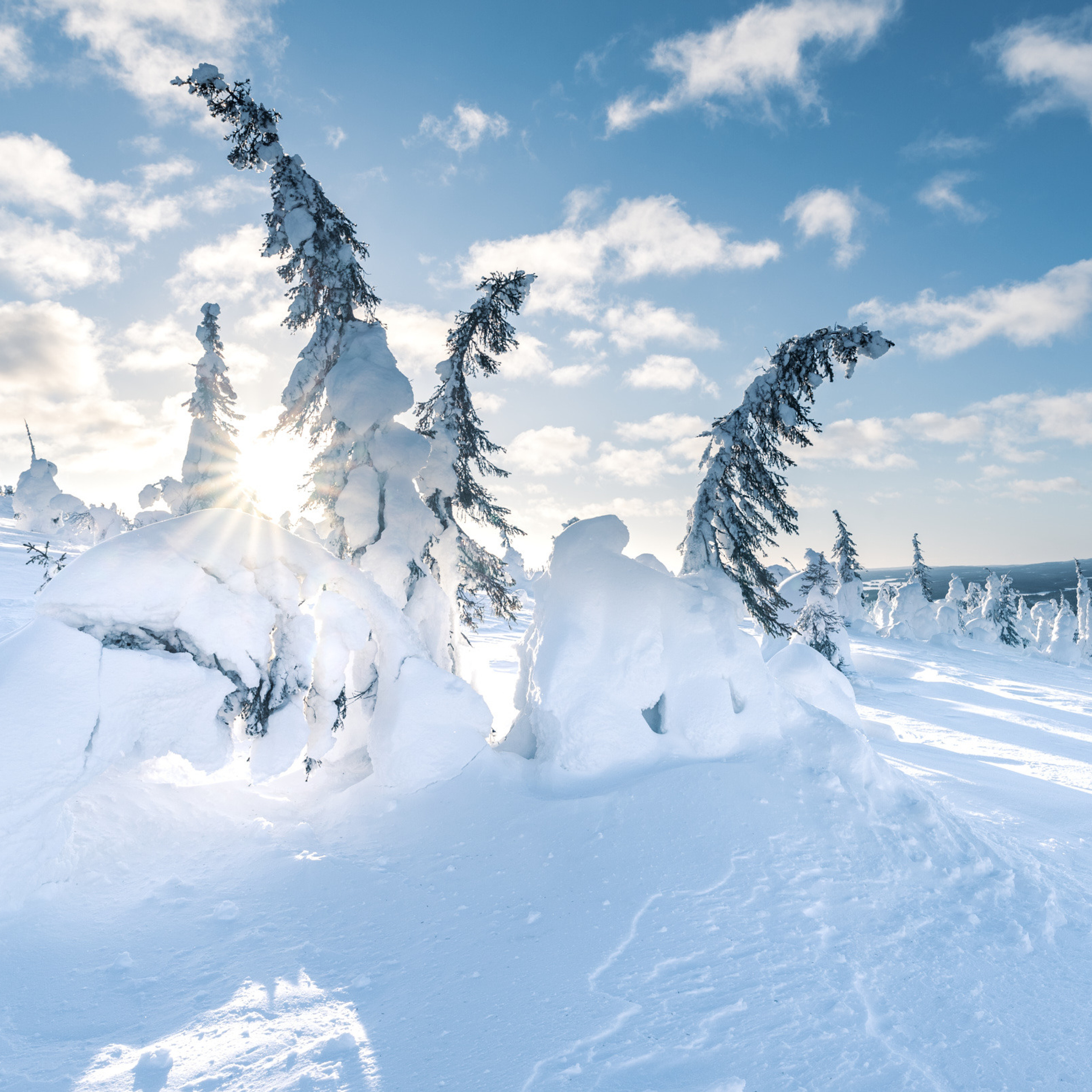 Гора Нуорунен в Национальном парке Паанаярви зимой