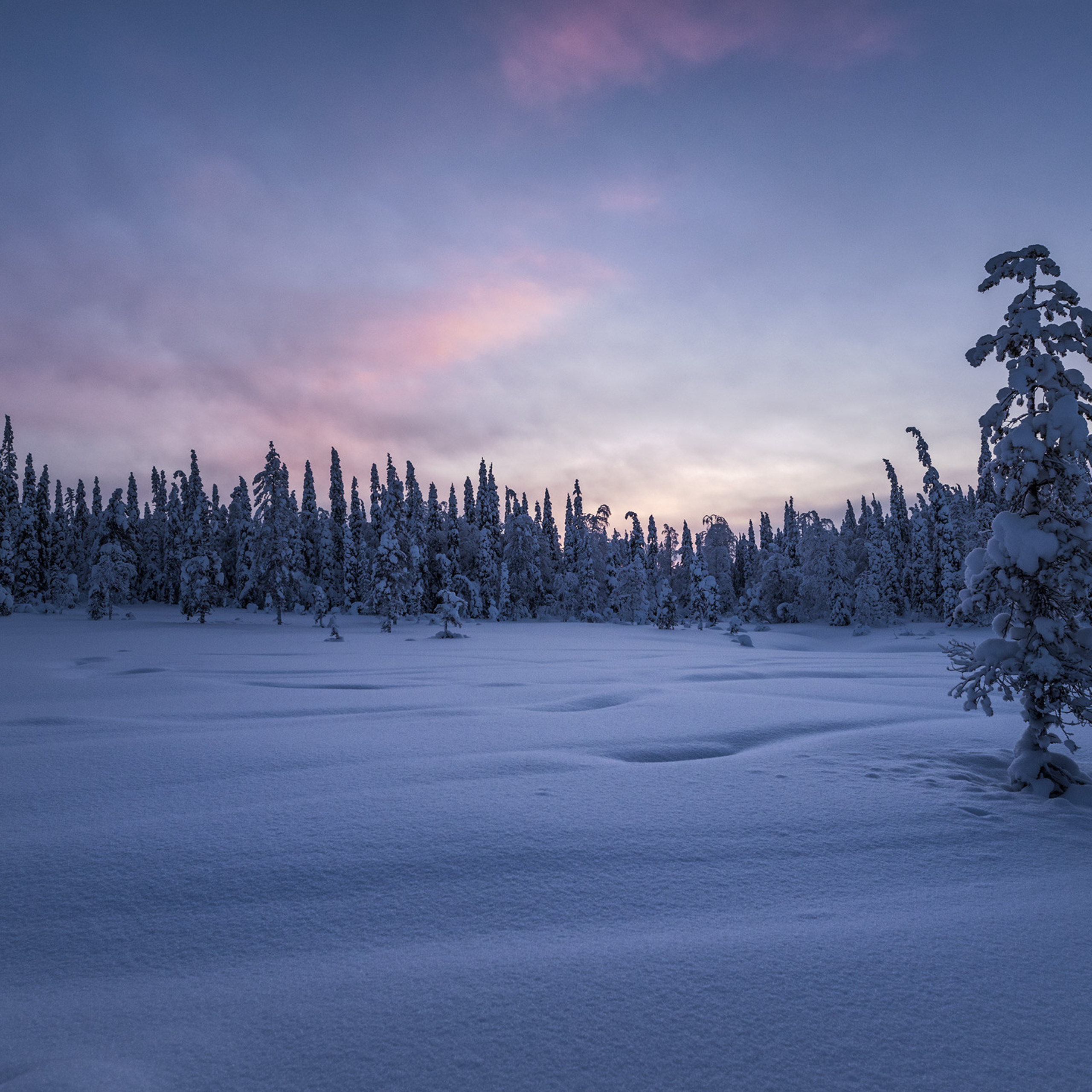 Зимняя сказка Паанаярви. Андрей Баскевич пейзажный и travel-фотограф в Зеленограде