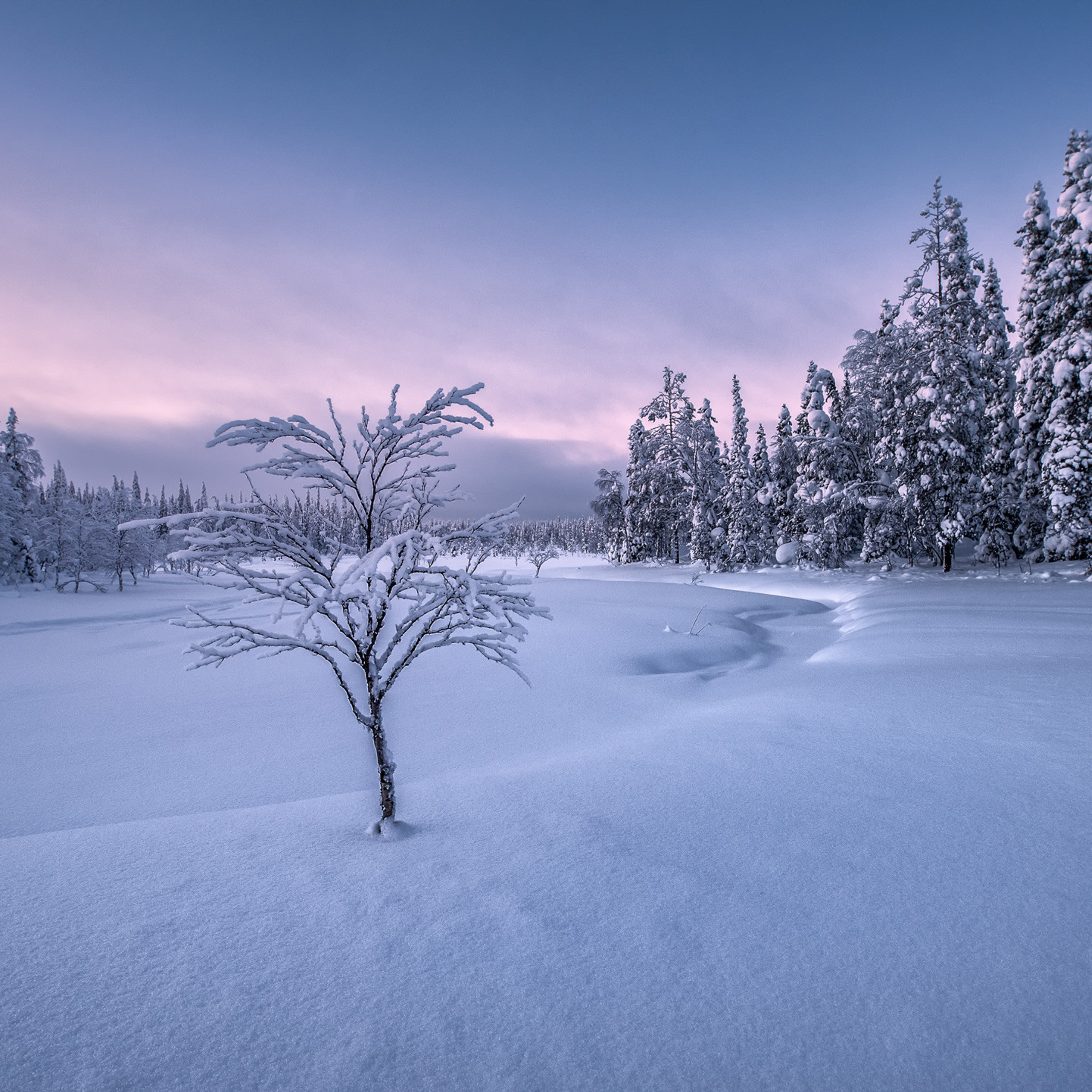 Зимняя сказка Паанаярви. Андрей Баскевич пейзажный и travel-фотограф в Зеленограде
