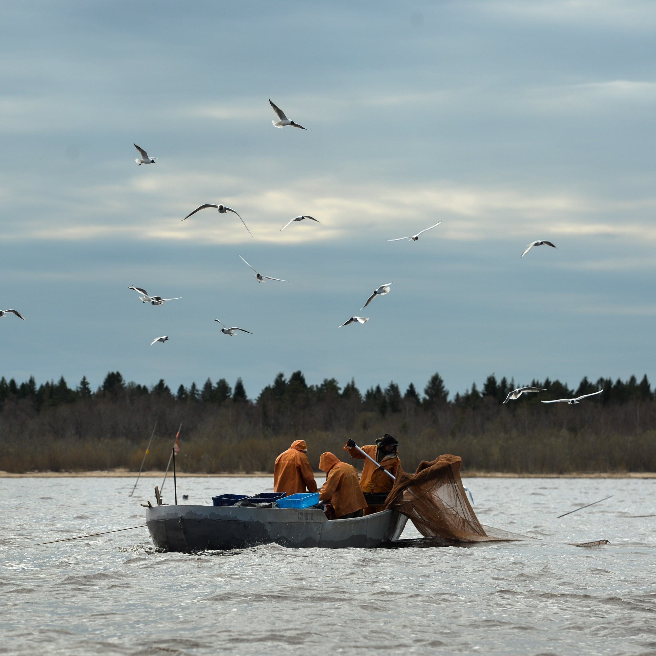 Документальный фотограф Сергей Вдовин