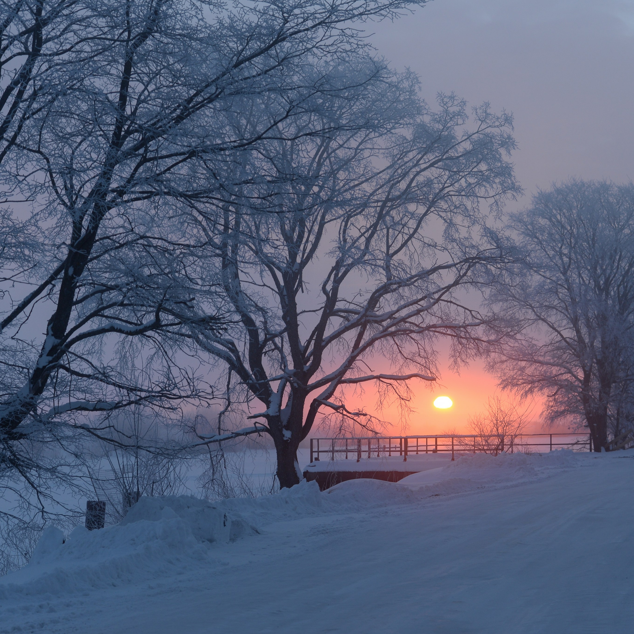 Документальный фотограф Сергей Вдовин