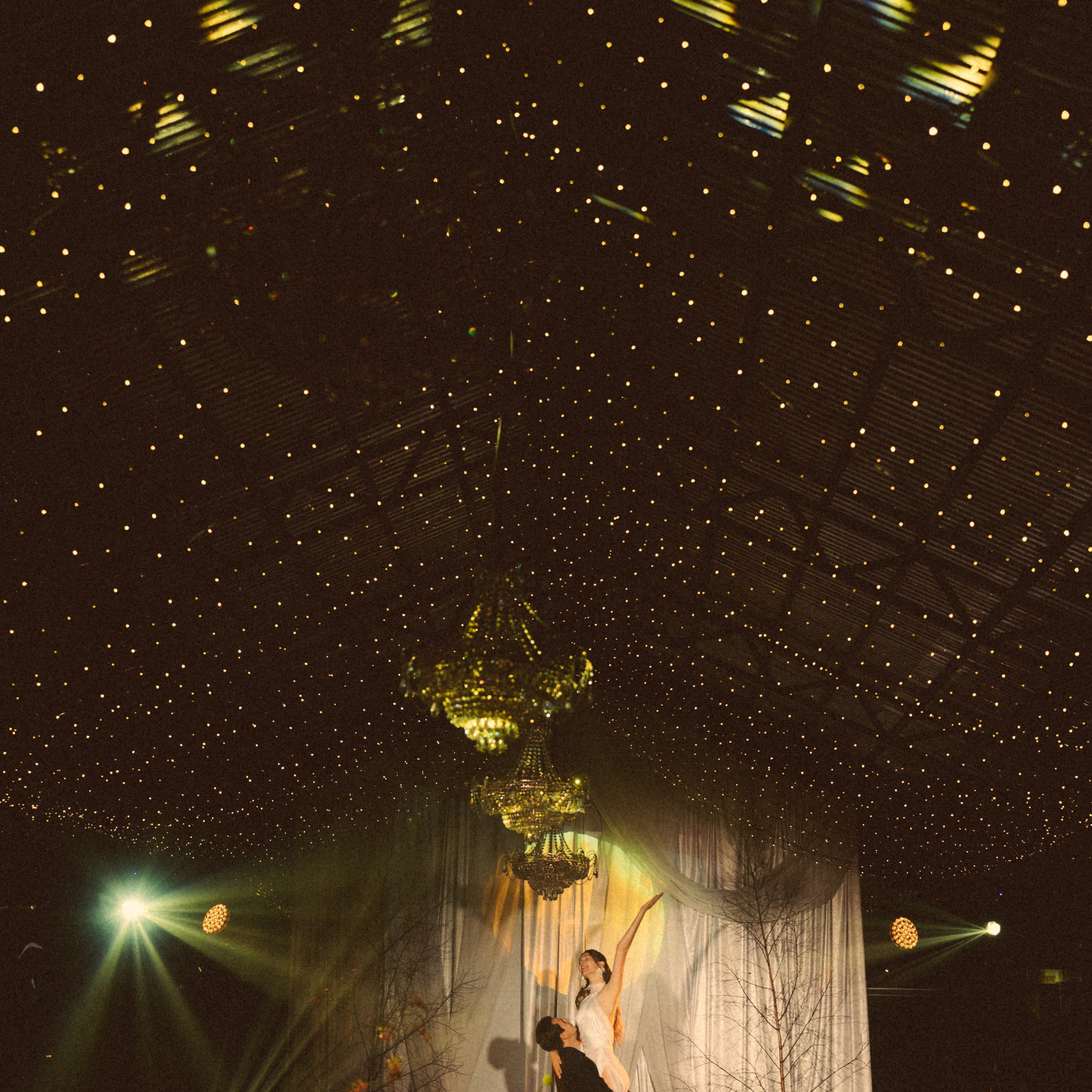 Банкетный зал сиреневая аллея СПБ/Петербурге