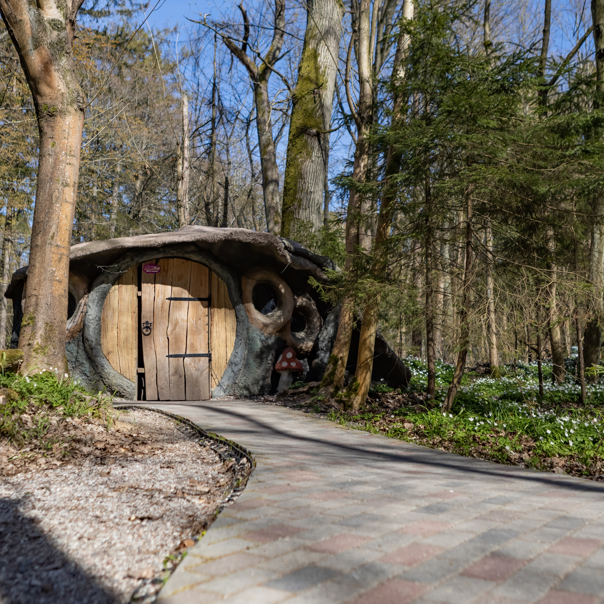 Парк Янтарного периода. AI-контент (генерации ИИ-фото и видео), стоковые фотографии Калининградской области