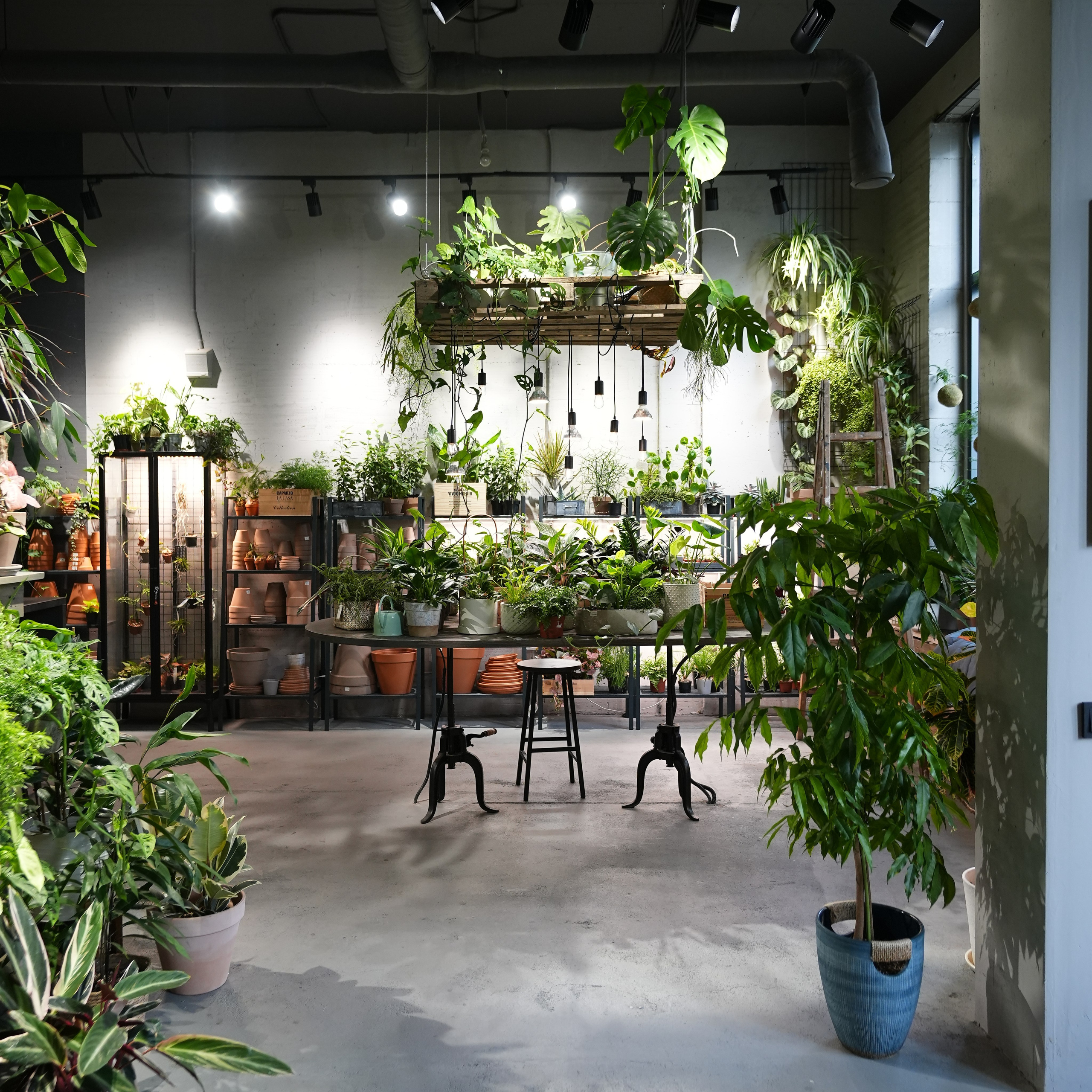 Интерьерная фотосъемка флористического магазина