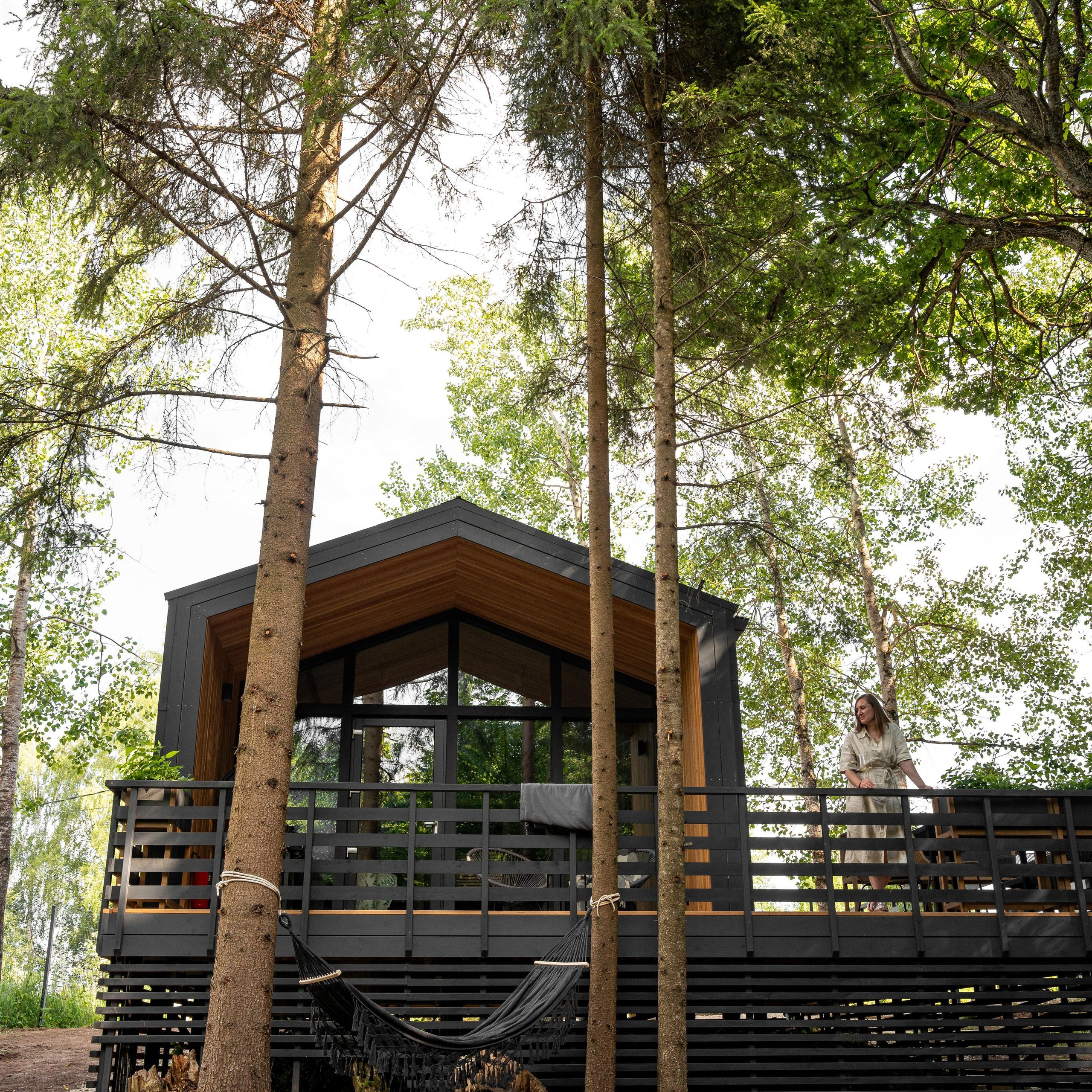 Дом под деревом под Истрой