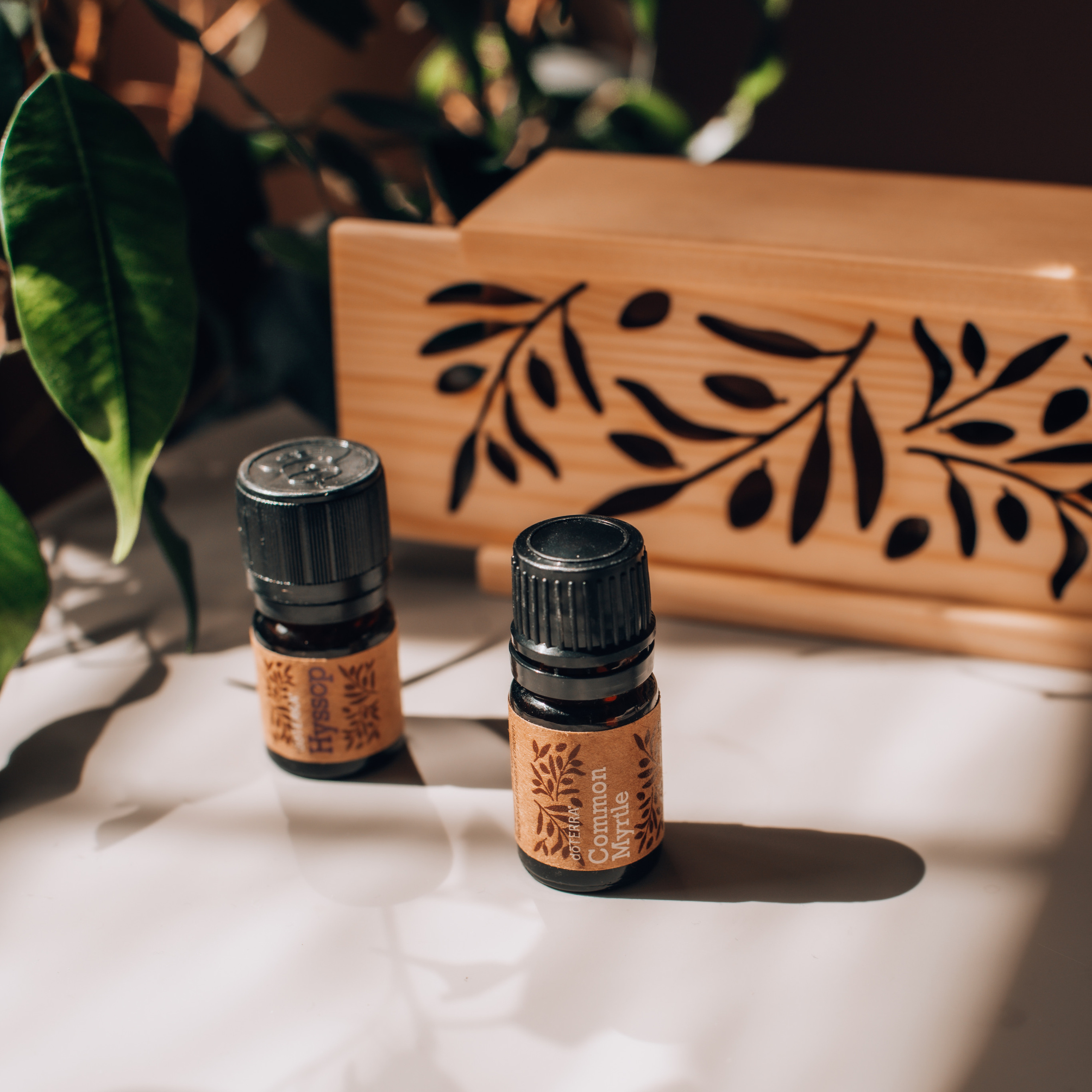 Аромакод. Фотограф в Санкт-Петербурге Марина Парникова