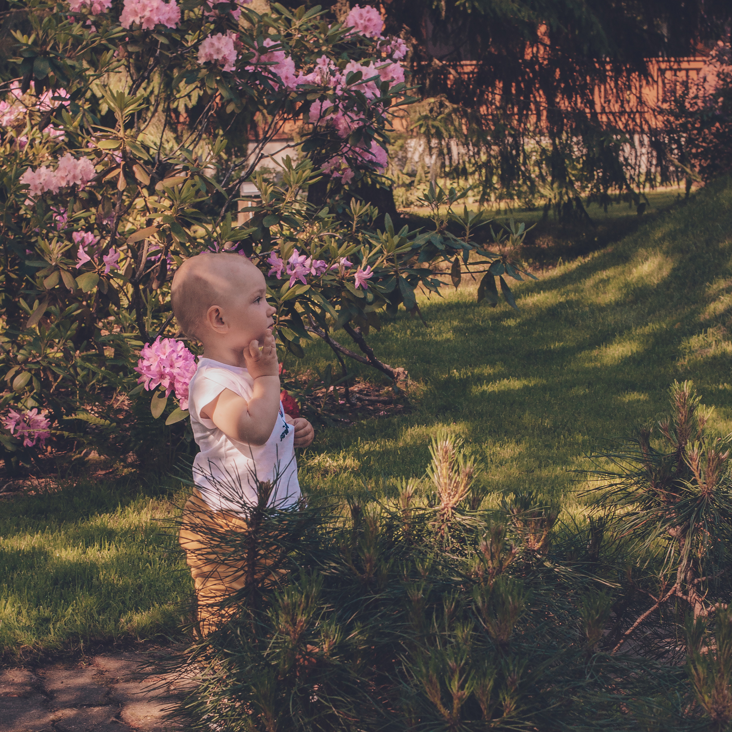 Дачный сезон. Фотограф в Санкт-Петербурге Марина Парникова