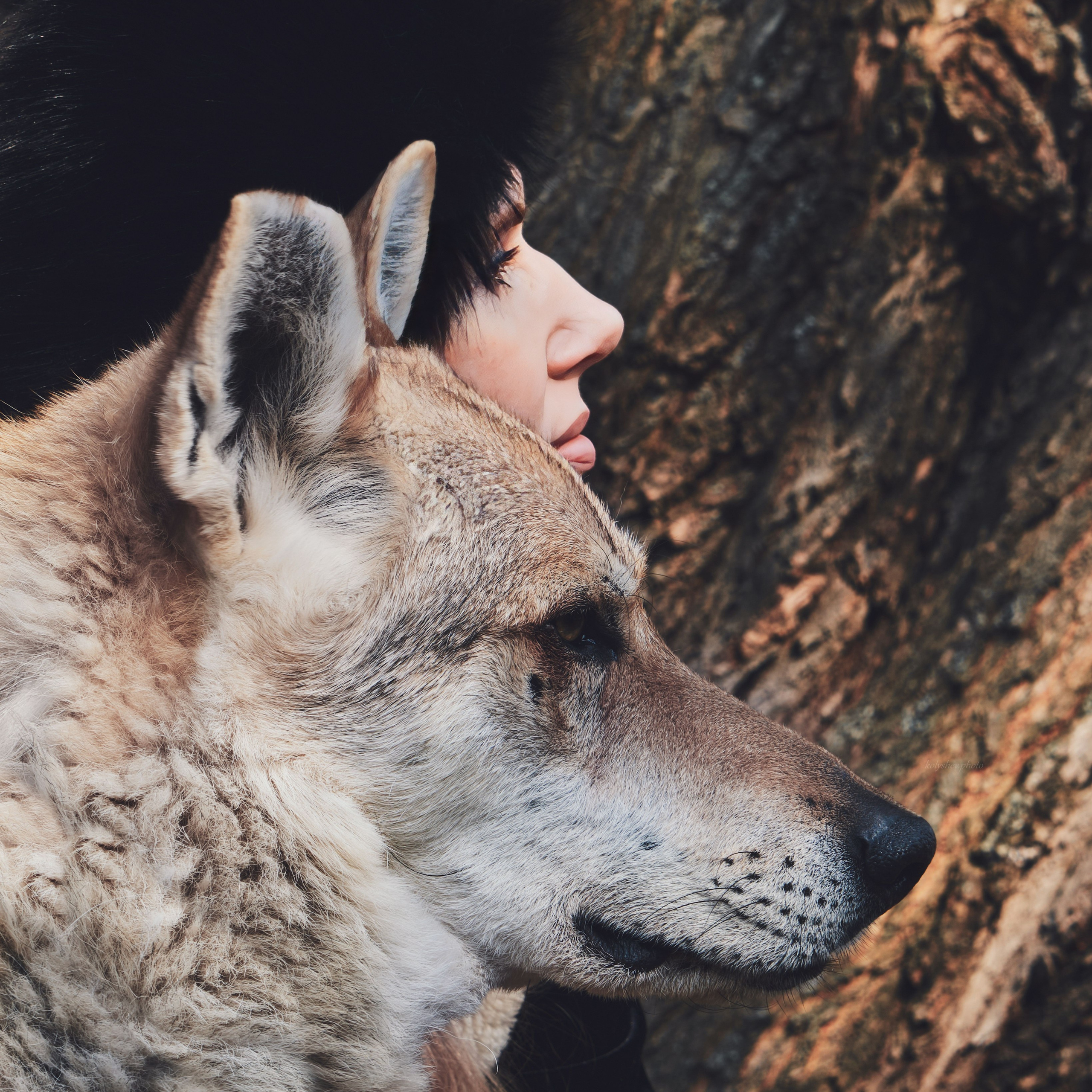 фотопортрет с влчаком в москве