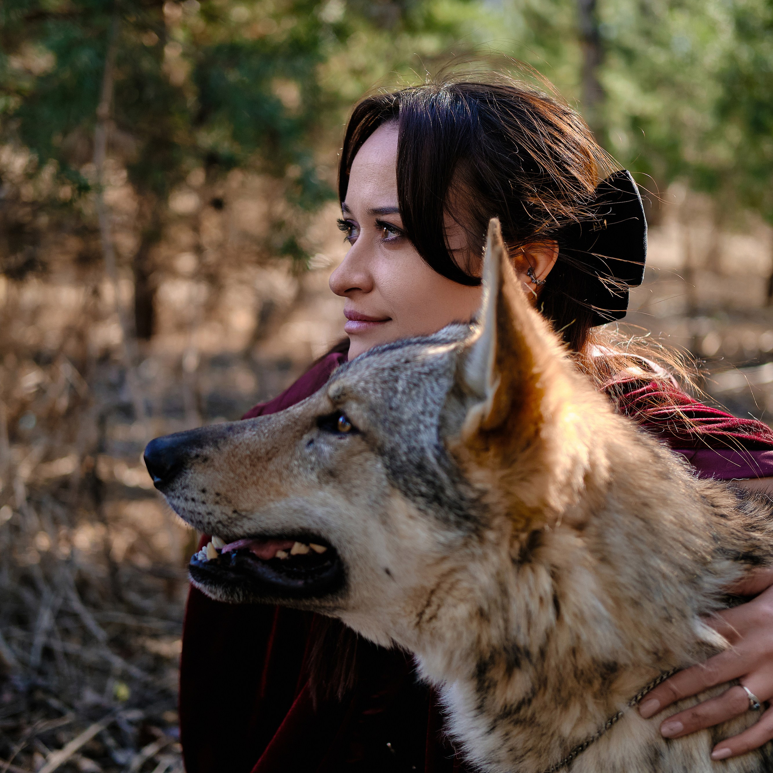 фотосессия с волками недорого в москве фотограф Виктория Колышева